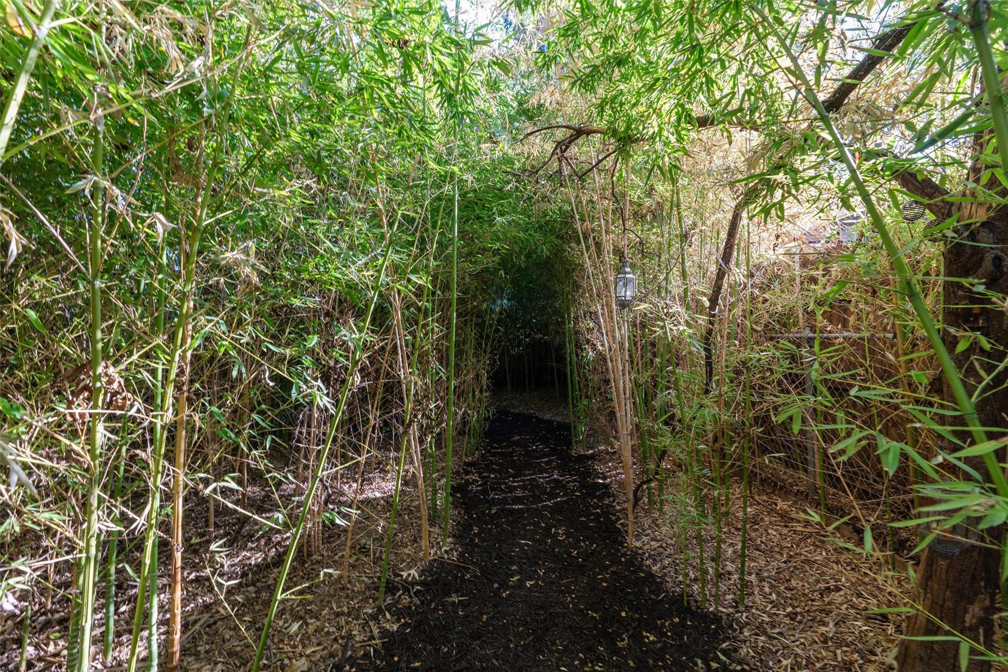 2703 E 3rd St # 2, Austin, TX 78702