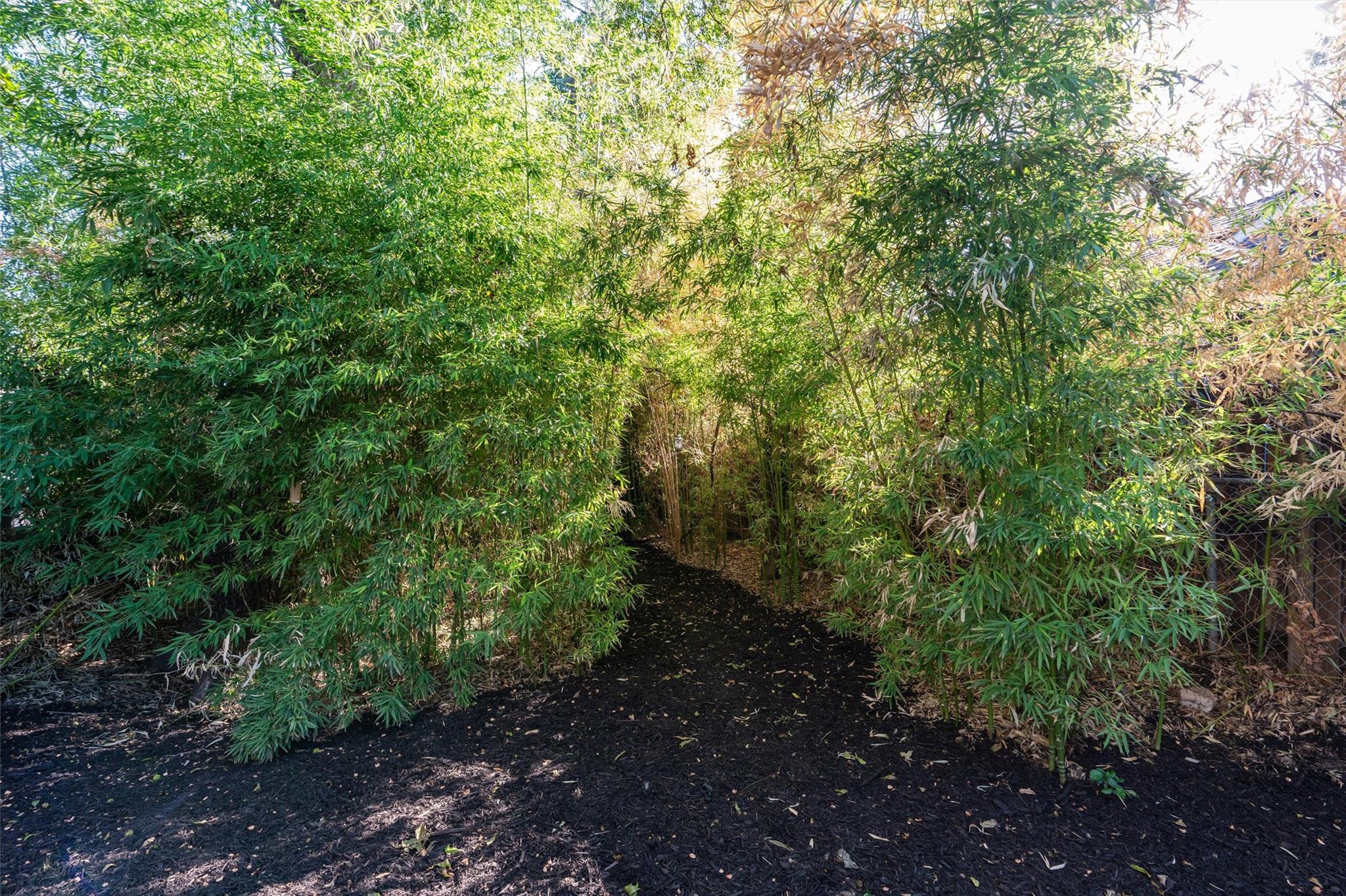 2703 E 3rd St # 2, Austin, TX 78702