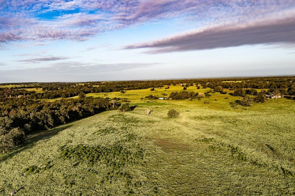 2993 County Road 320, Lexington, TX 78947