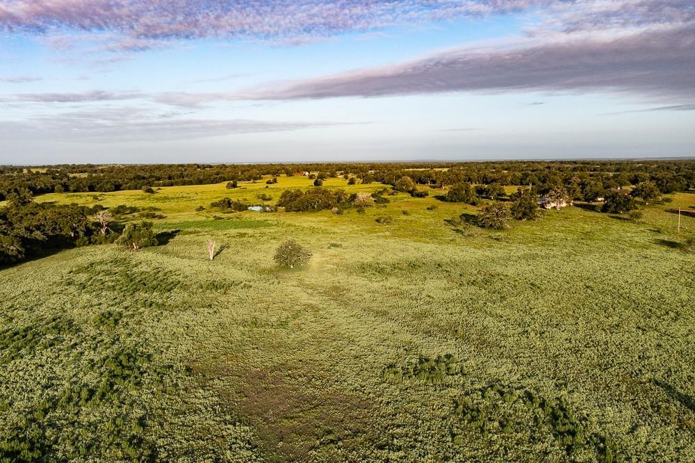 2993 County Road 320, Lexington, TX 78947