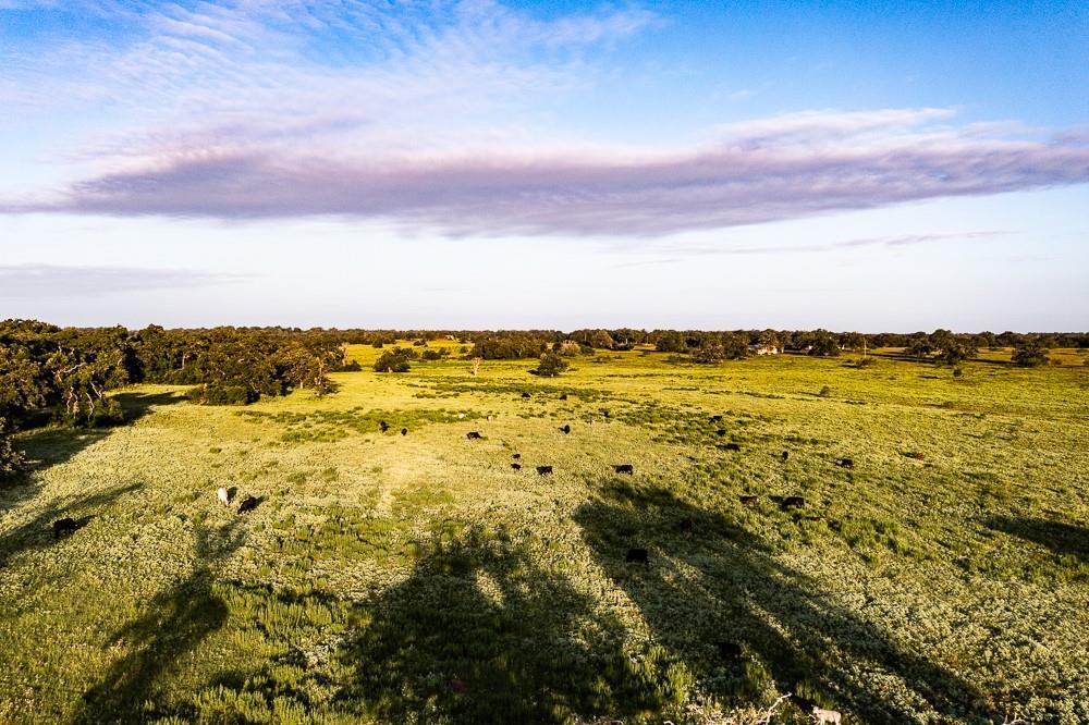 2993 County Road 320, Lexington, TX 78947