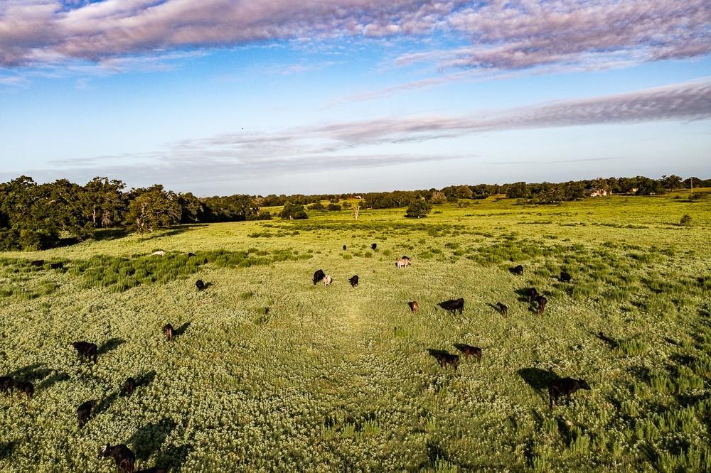 2993 County Road 320, Lexington, TX 78947