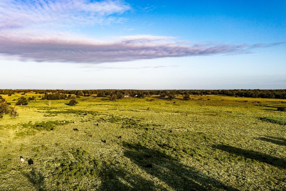 2993 County Road 320, Lexington, TX 78947