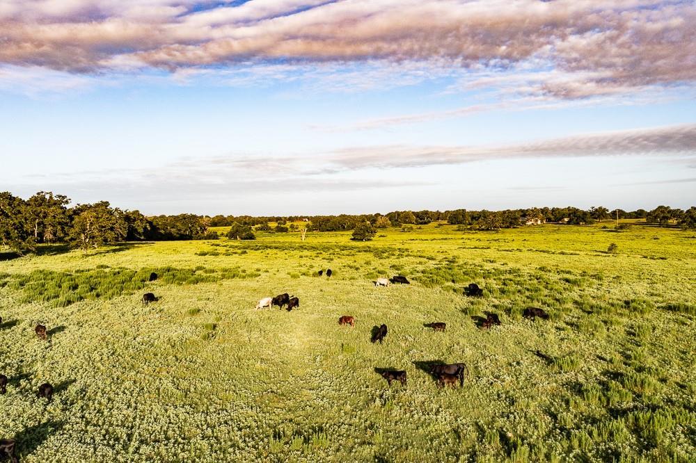 2993 County Road 320, Lexington, TX 78947