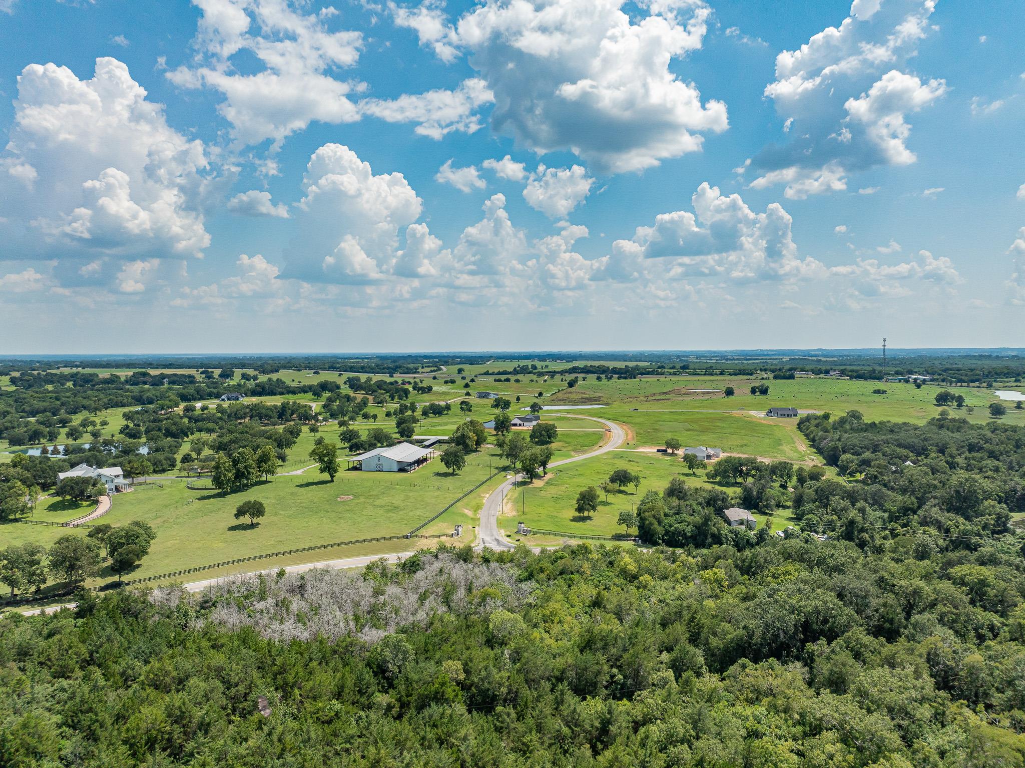 10343 Sunny Meadow Dr, Chappell Hill, TX 77426