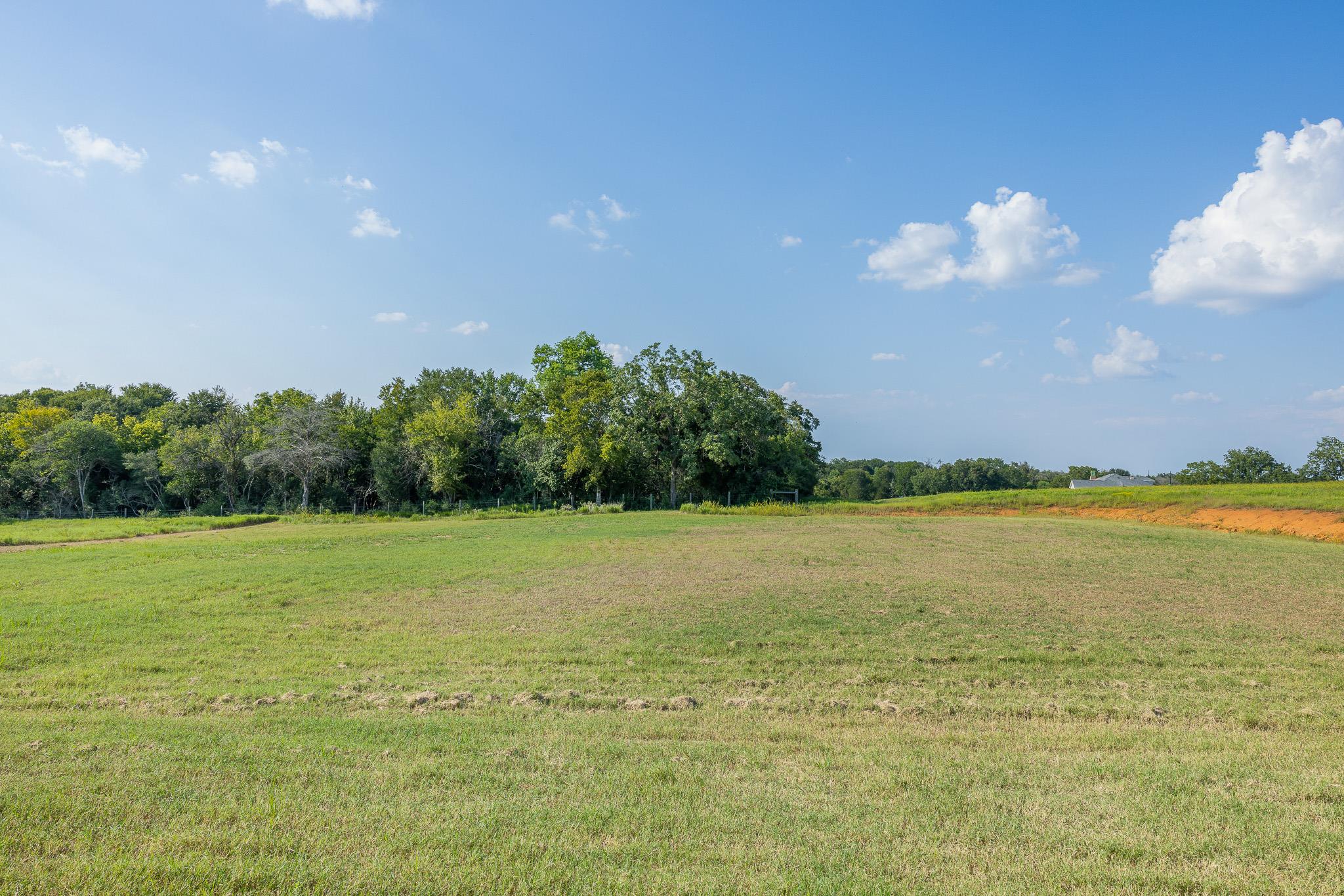 10343 Sunny Meadow Dr, Chappell Hill, TX 77426