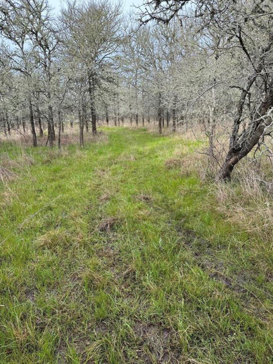 0000 FM 141, Dime Box, TX 77853