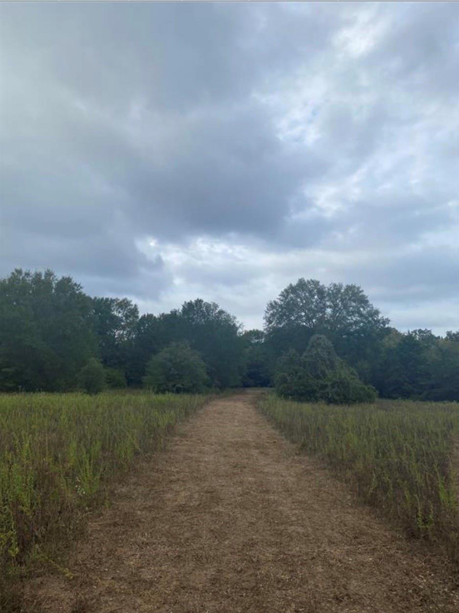 0000 FM 141, Dime Box, TX 77853