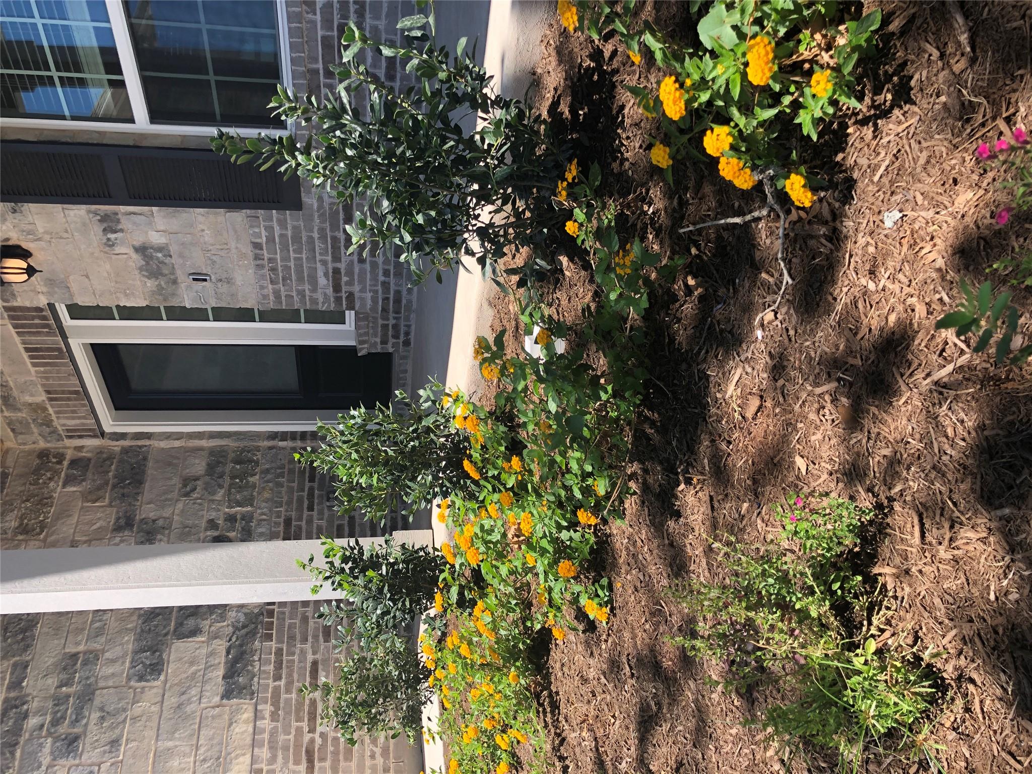 125 Magdalene Way, Liberty Hill, TX 78642