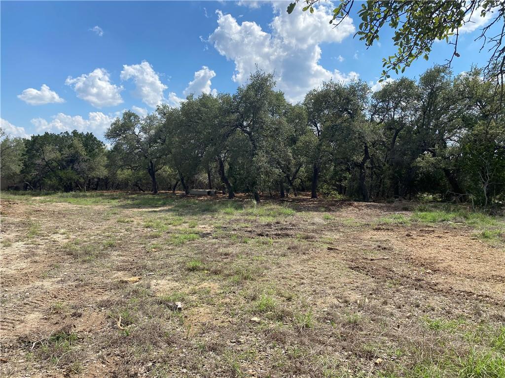 33400 Brooks Ranch Rd, Austin, TX 78620