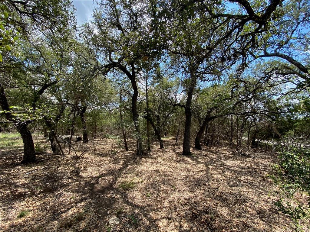 33400 Brooks Ranch Rd, Austin, TX 78620