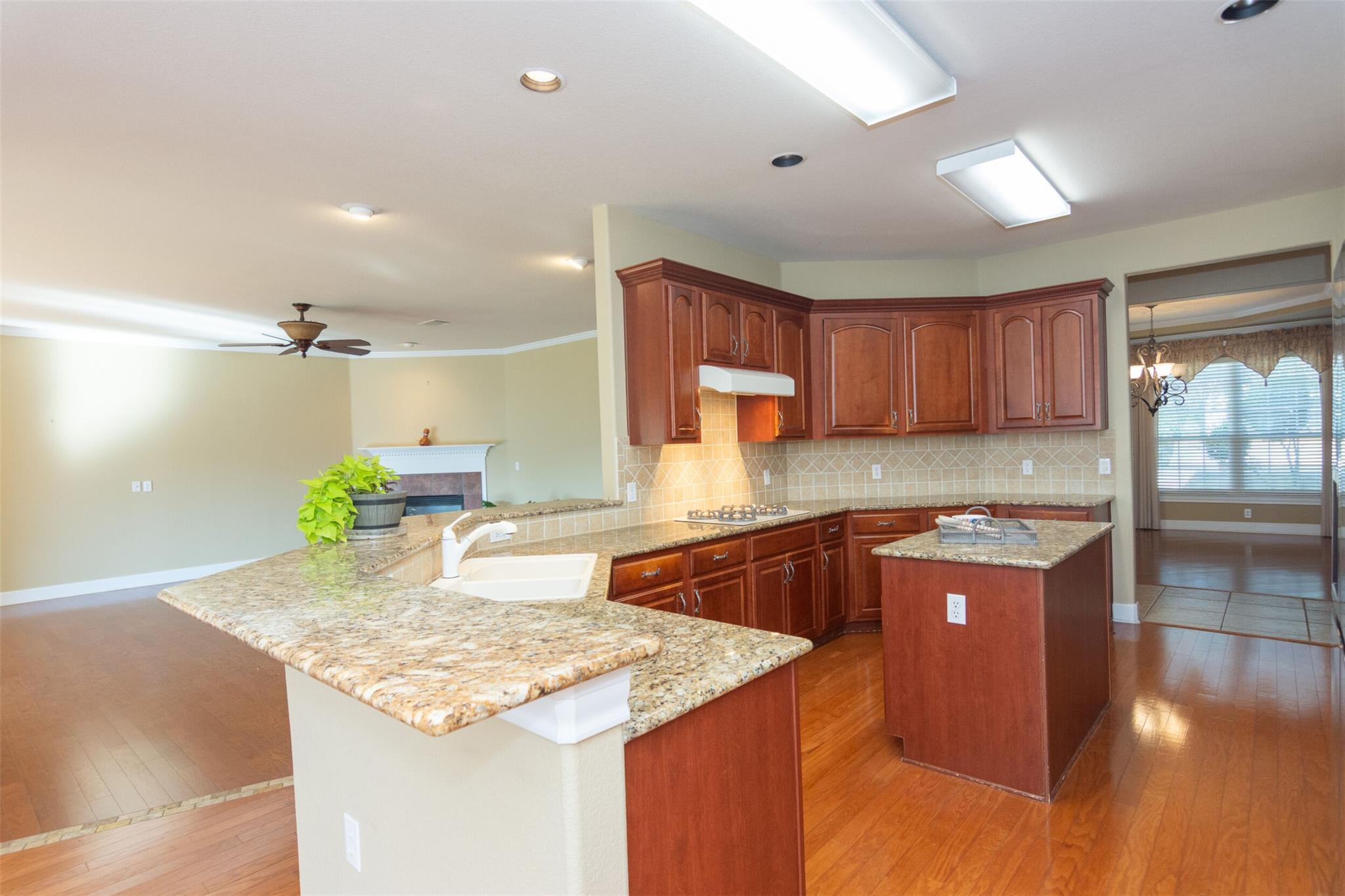 110 Lampasas Pass, Georgetown, TX 78633