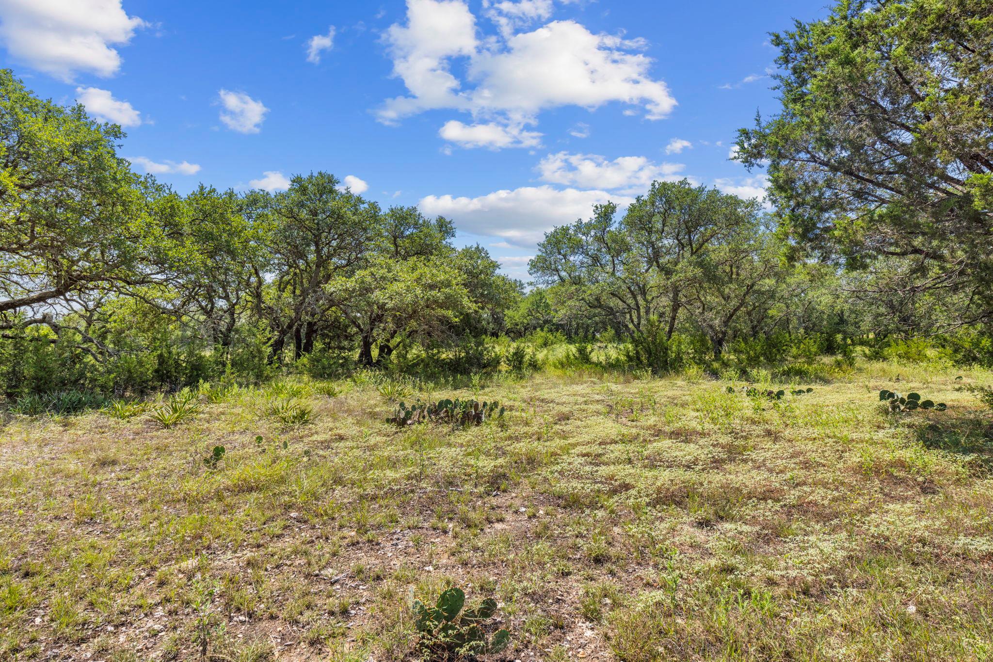 Lot 170 Heartleaf Dr, Lampasas, TX 76550