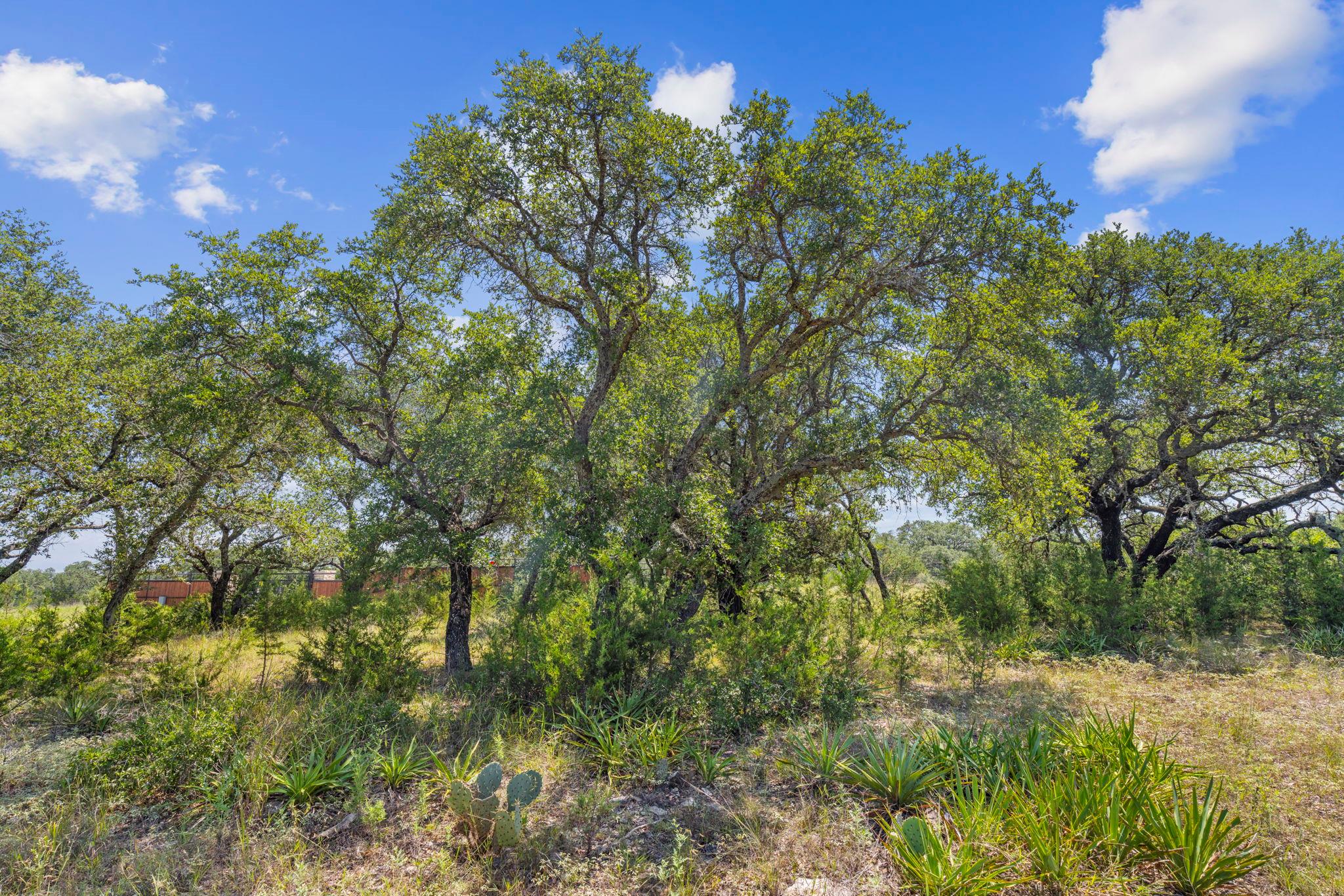 Lot 170 Heartleaf Dr, Lampasas, TX 76550