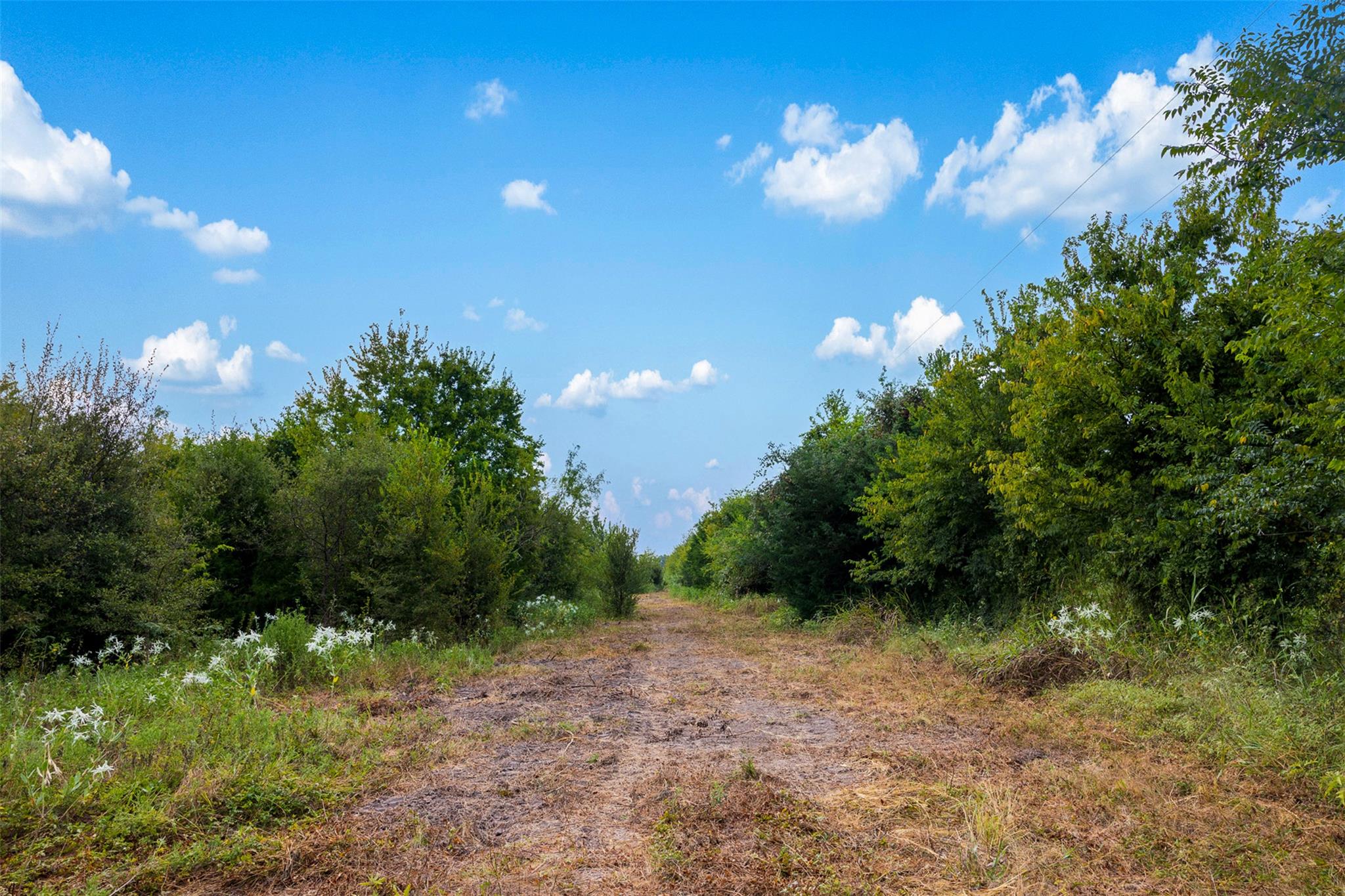 Tract 1 TBD LCR 392, Groesbeck, TX 76642