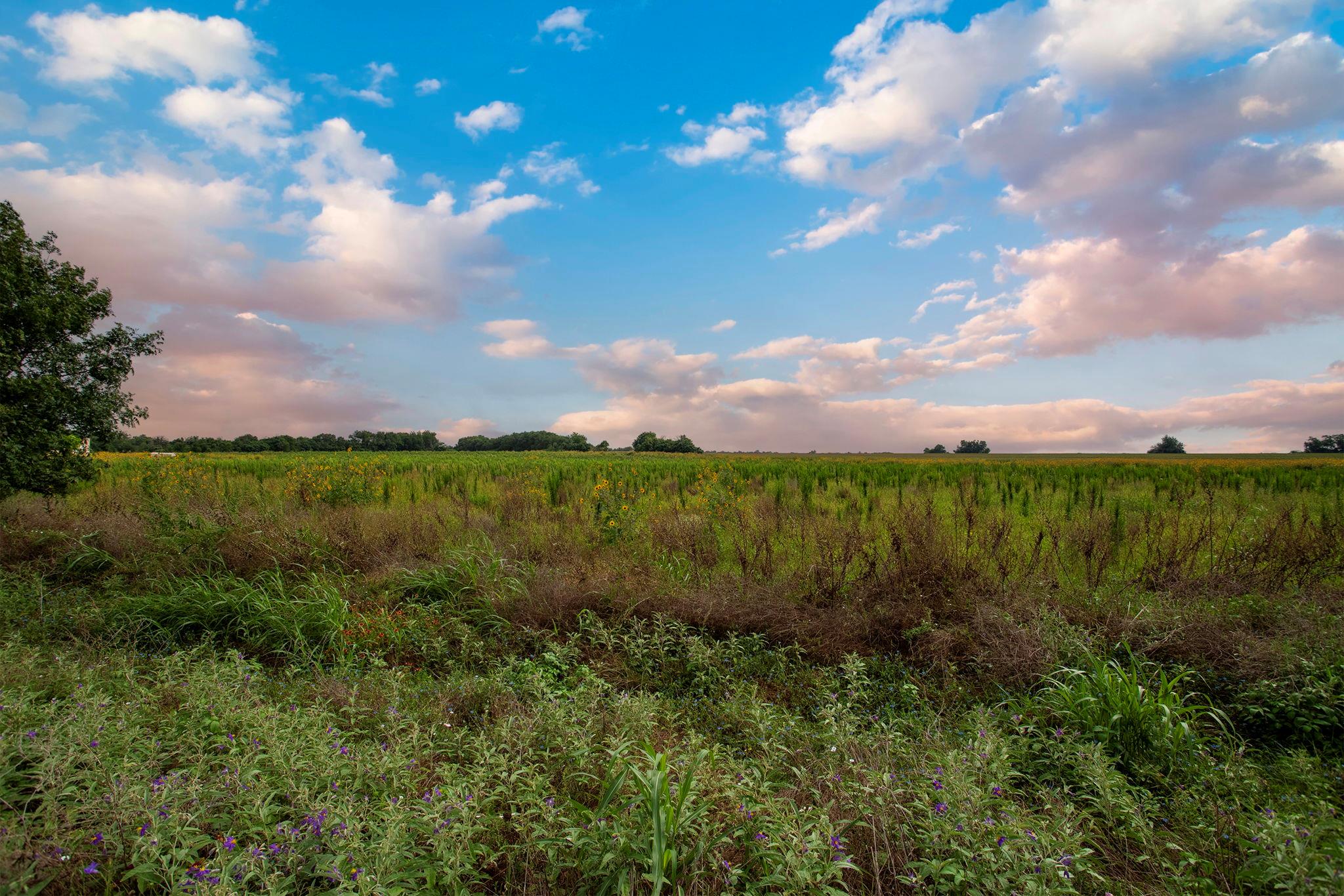 150 County Road 126, Georgetown, TX 78626