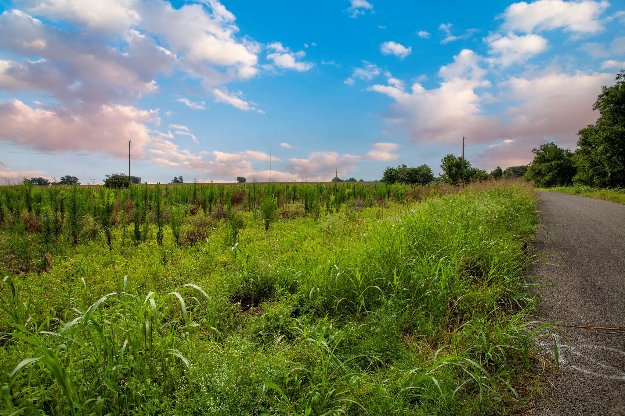 150 County Road 126, Georgetown, TX 78626