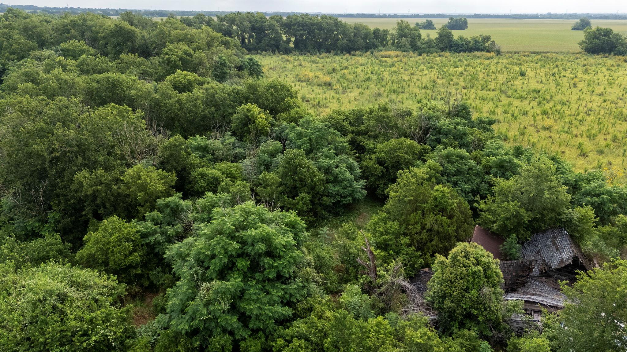 150 County Road 126, Georgetown, TX 78626