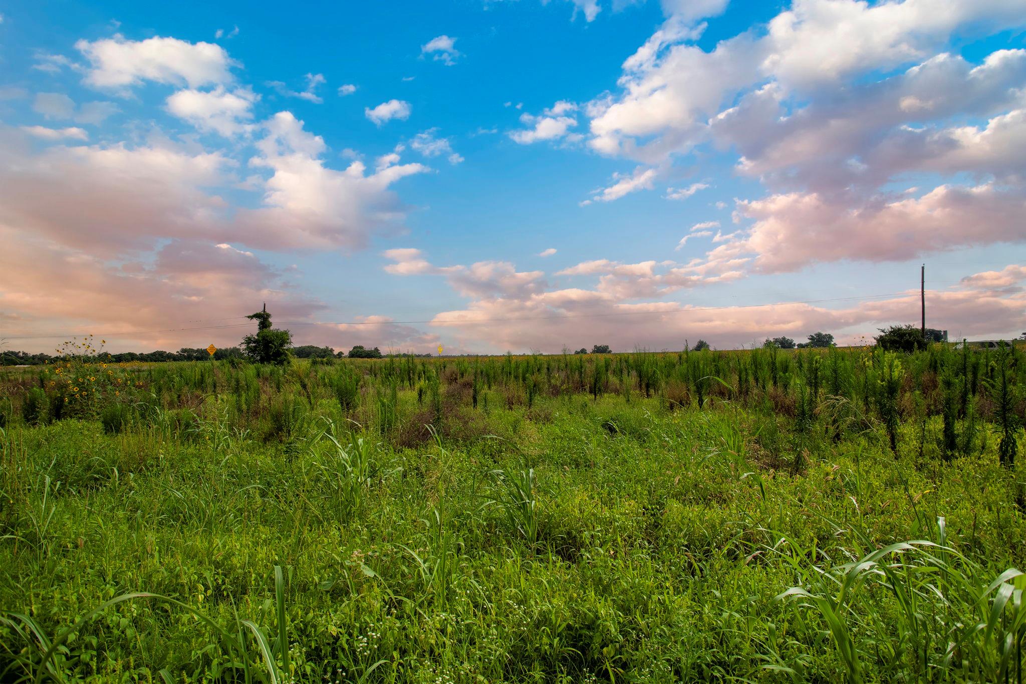 150 County Road 126, Georgetown, TX 78626