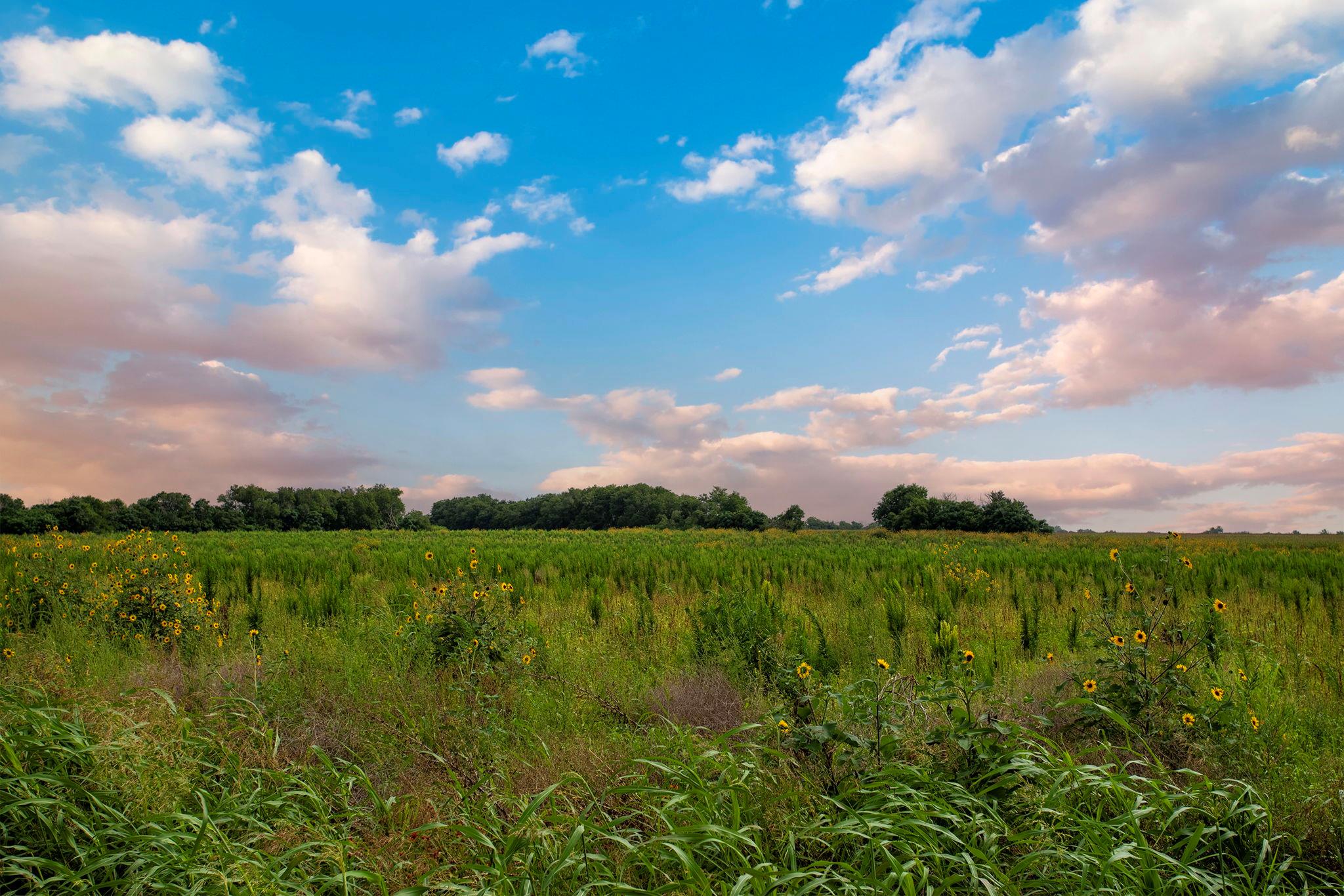 150 County Road 126, Georgetown, TX 78626