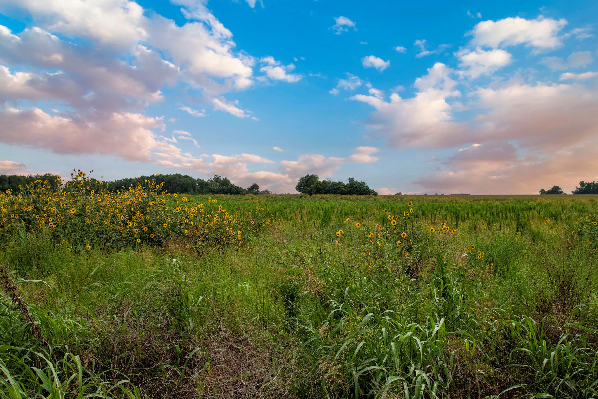 150 County Road 126, Georgetown, TX 78626