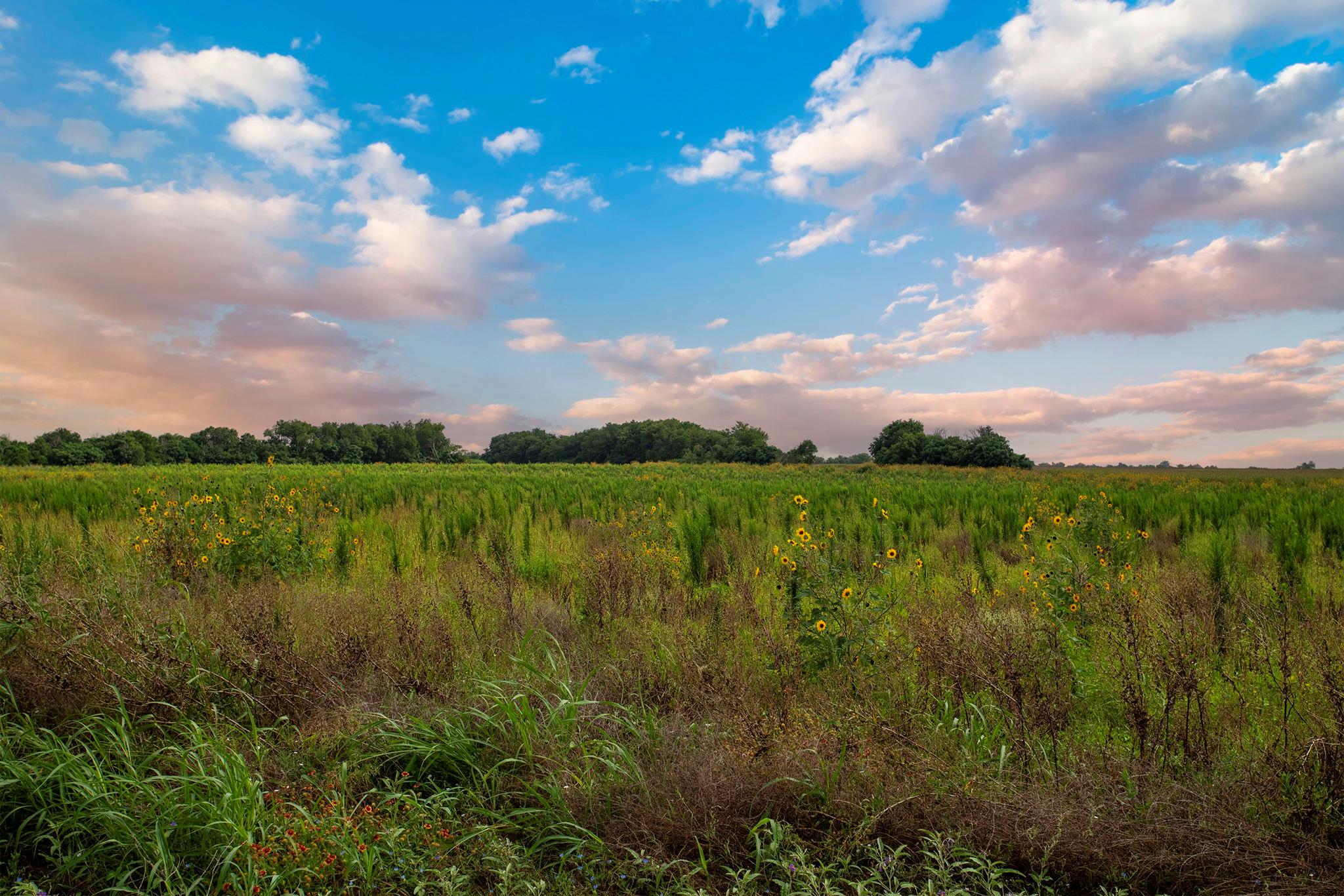 150 County Road 126, Georgetown, TX 78626