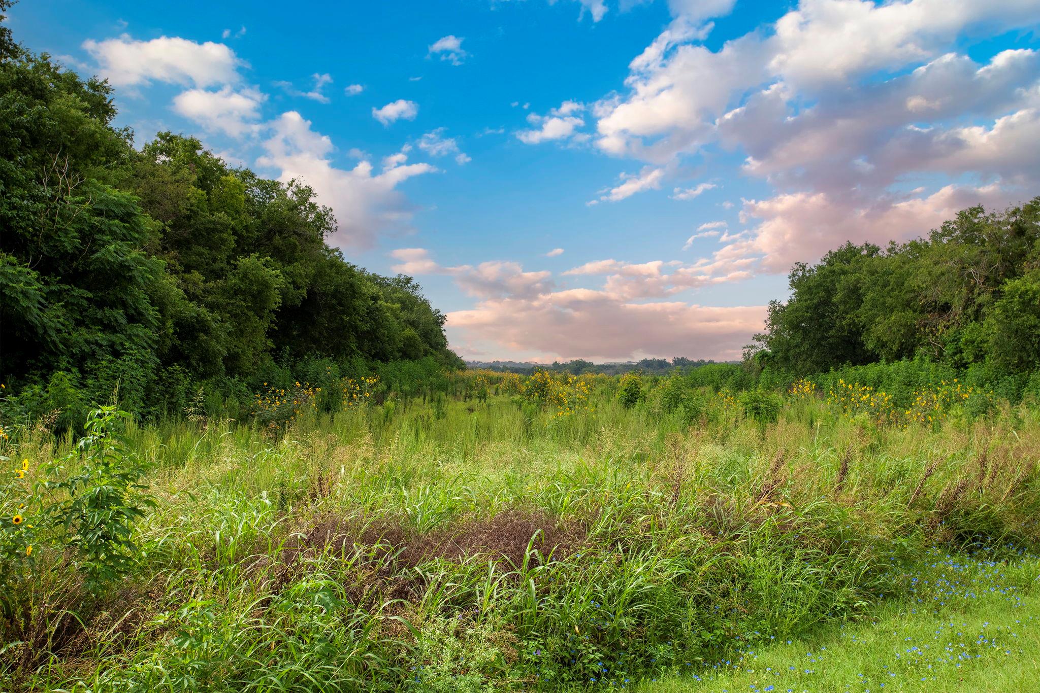 150 County Road 126, Georgetown, TX 78626