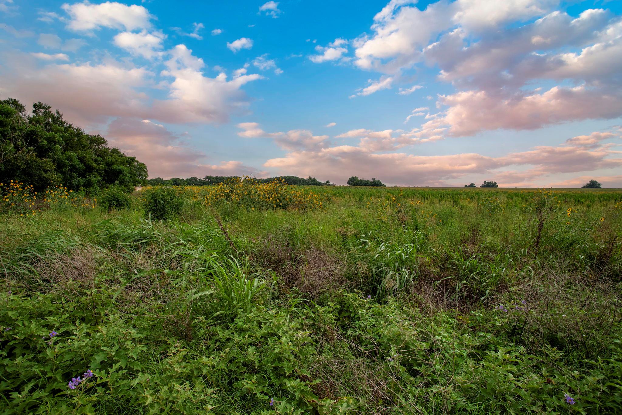 150 County Road 126, Georgetown, TX 78626