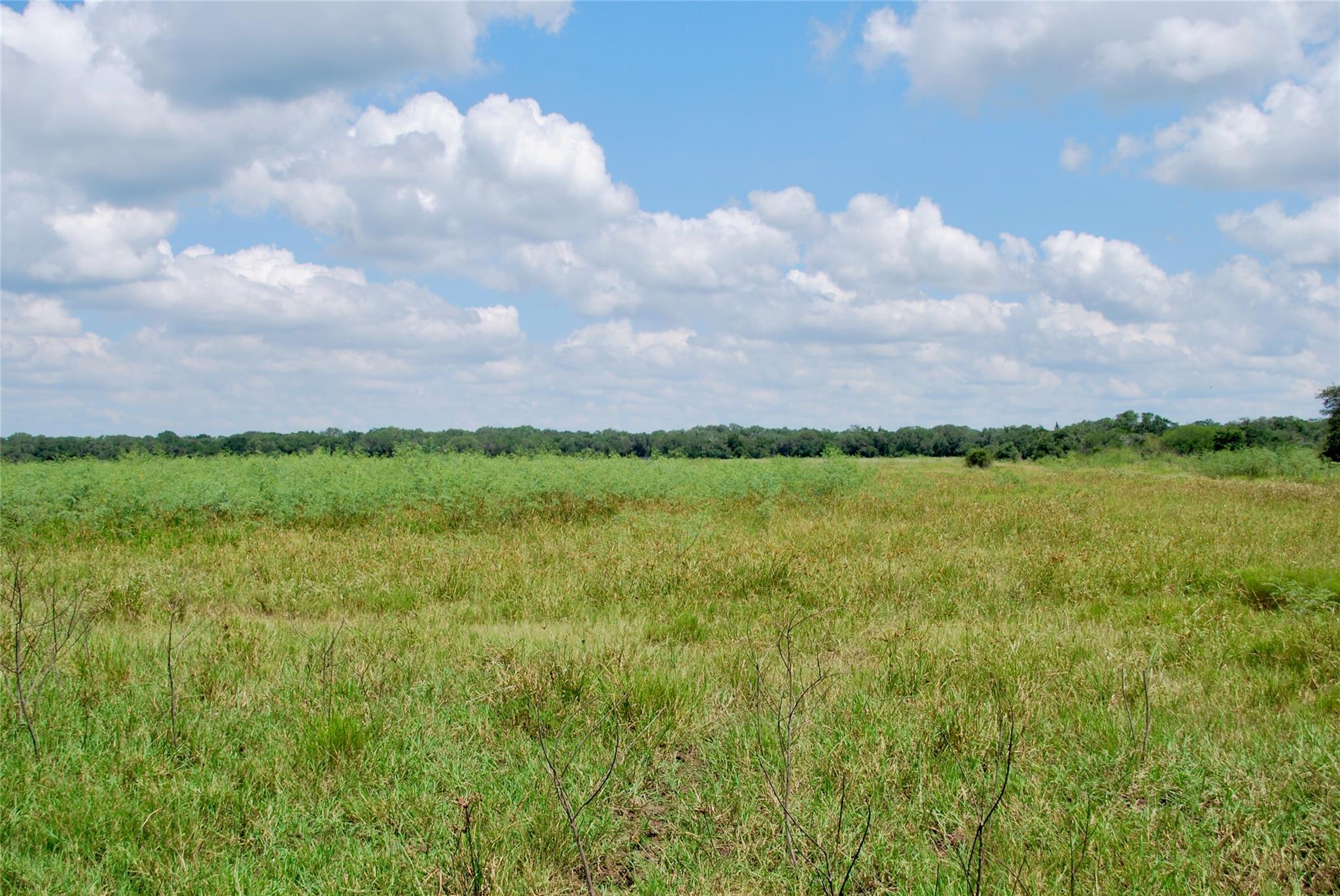 Hallettsville, TX 77964