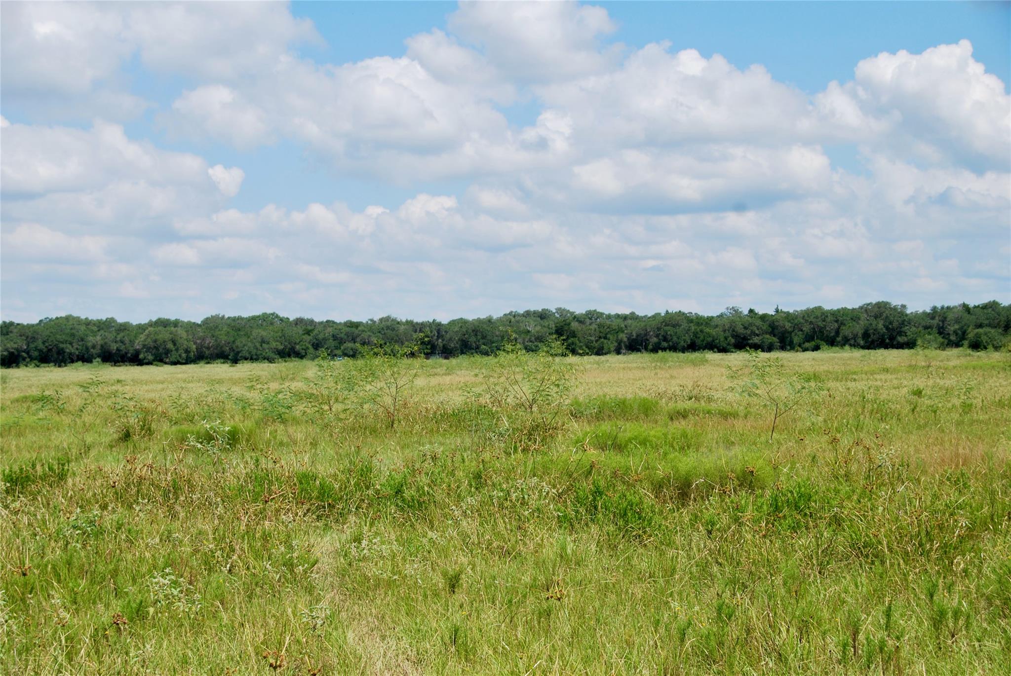 Hallettsville, TX 77964