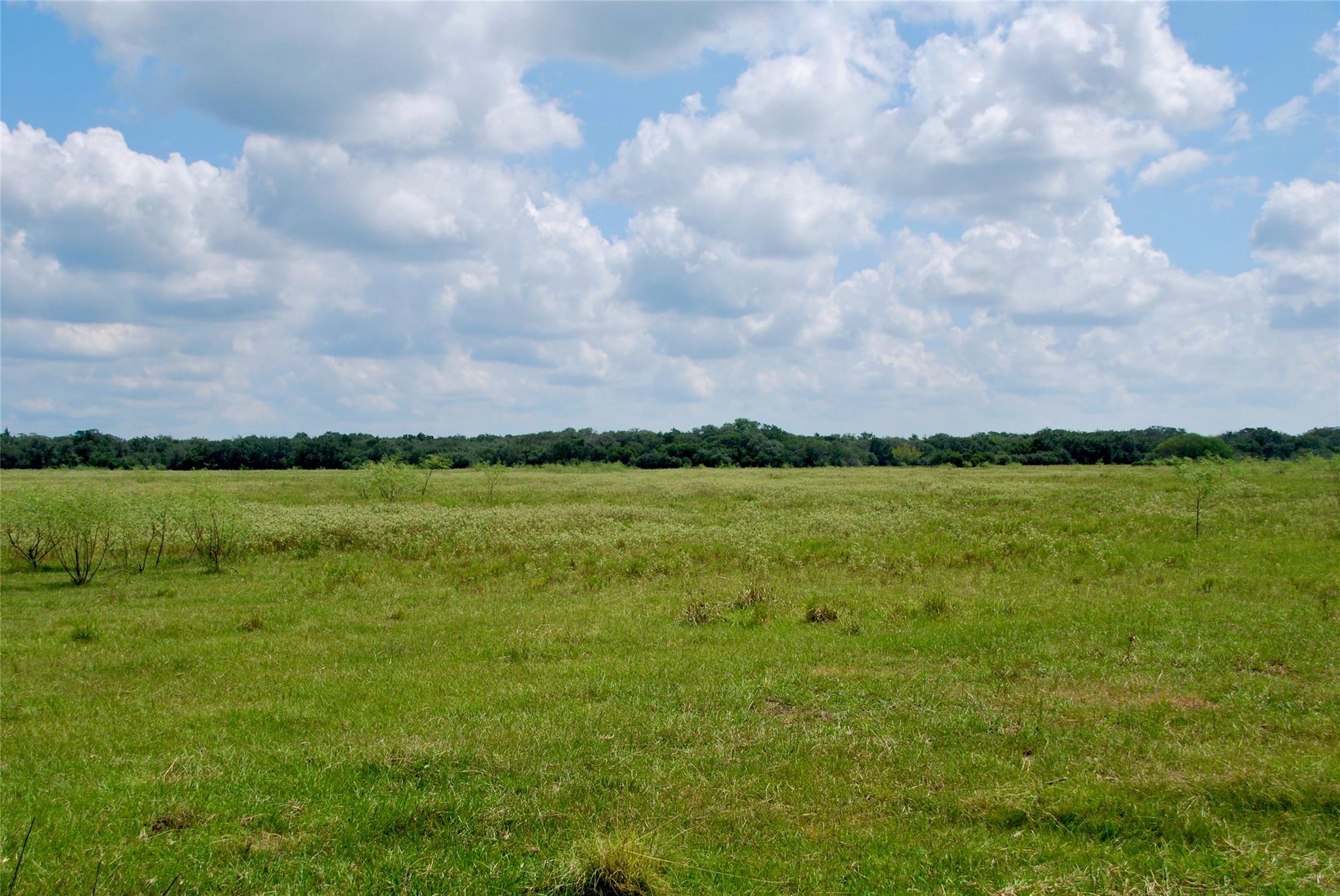 Hallettsville, TX 77964