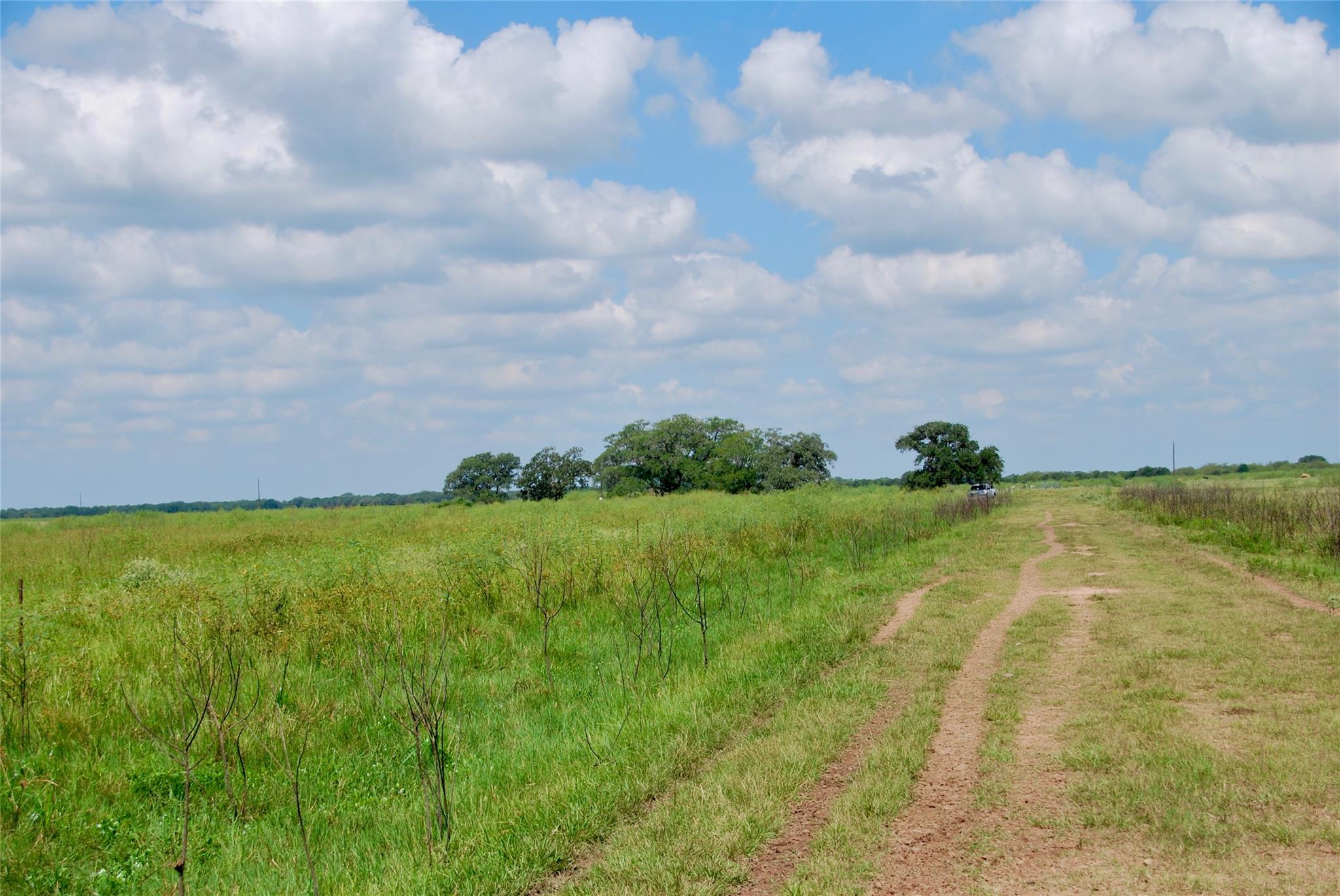 Hallettsville, TX 77964