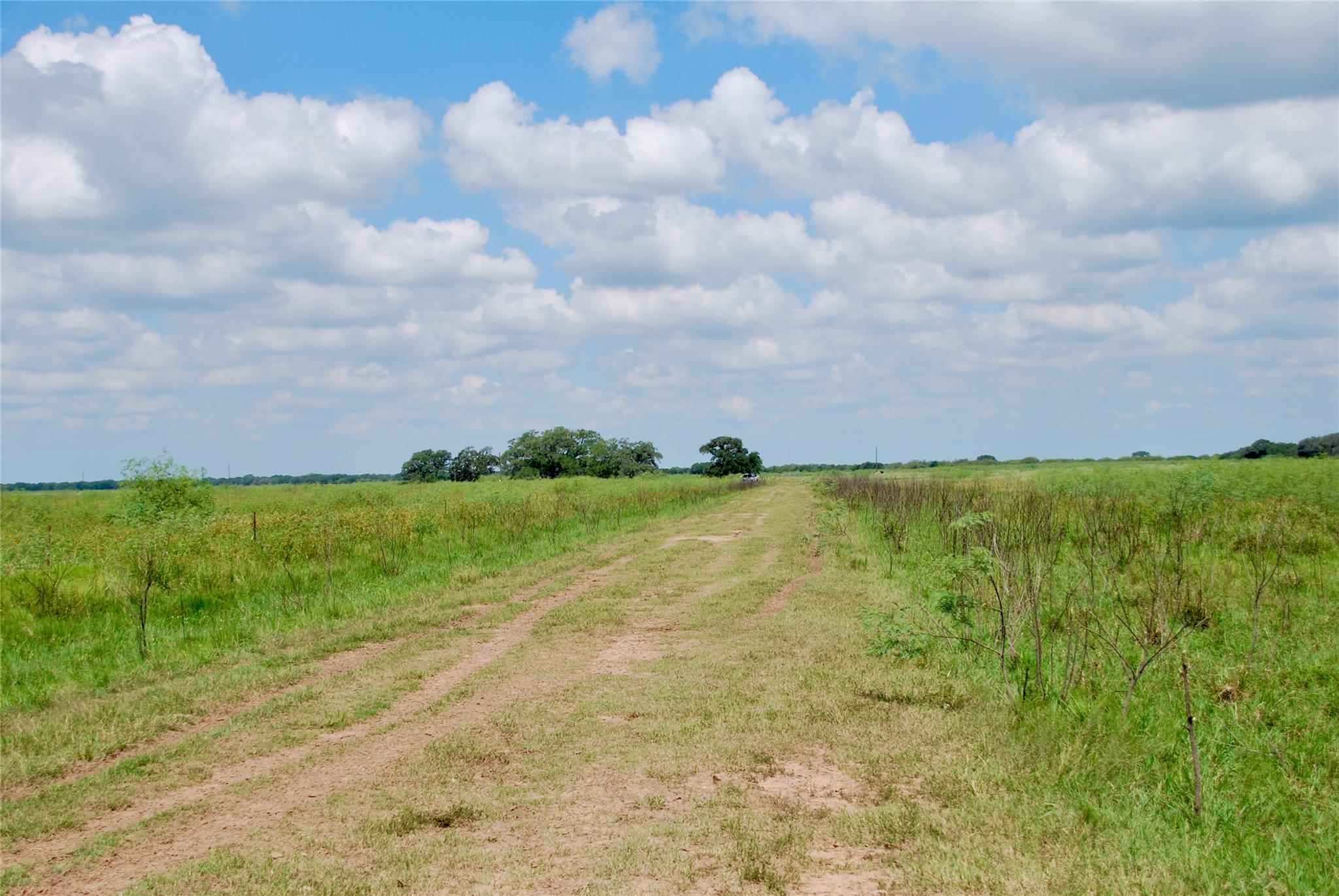 Hallettsville, TX 77964