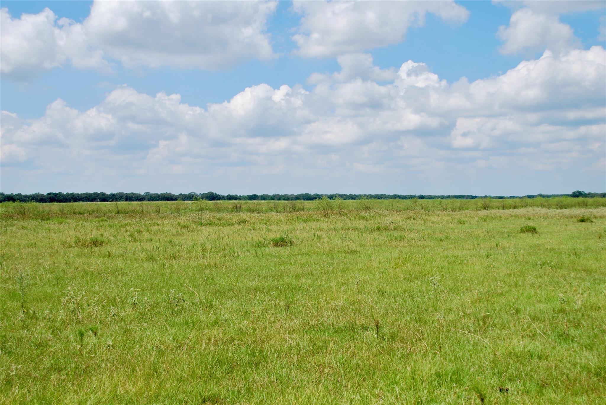 Hallettsville, TX 77964