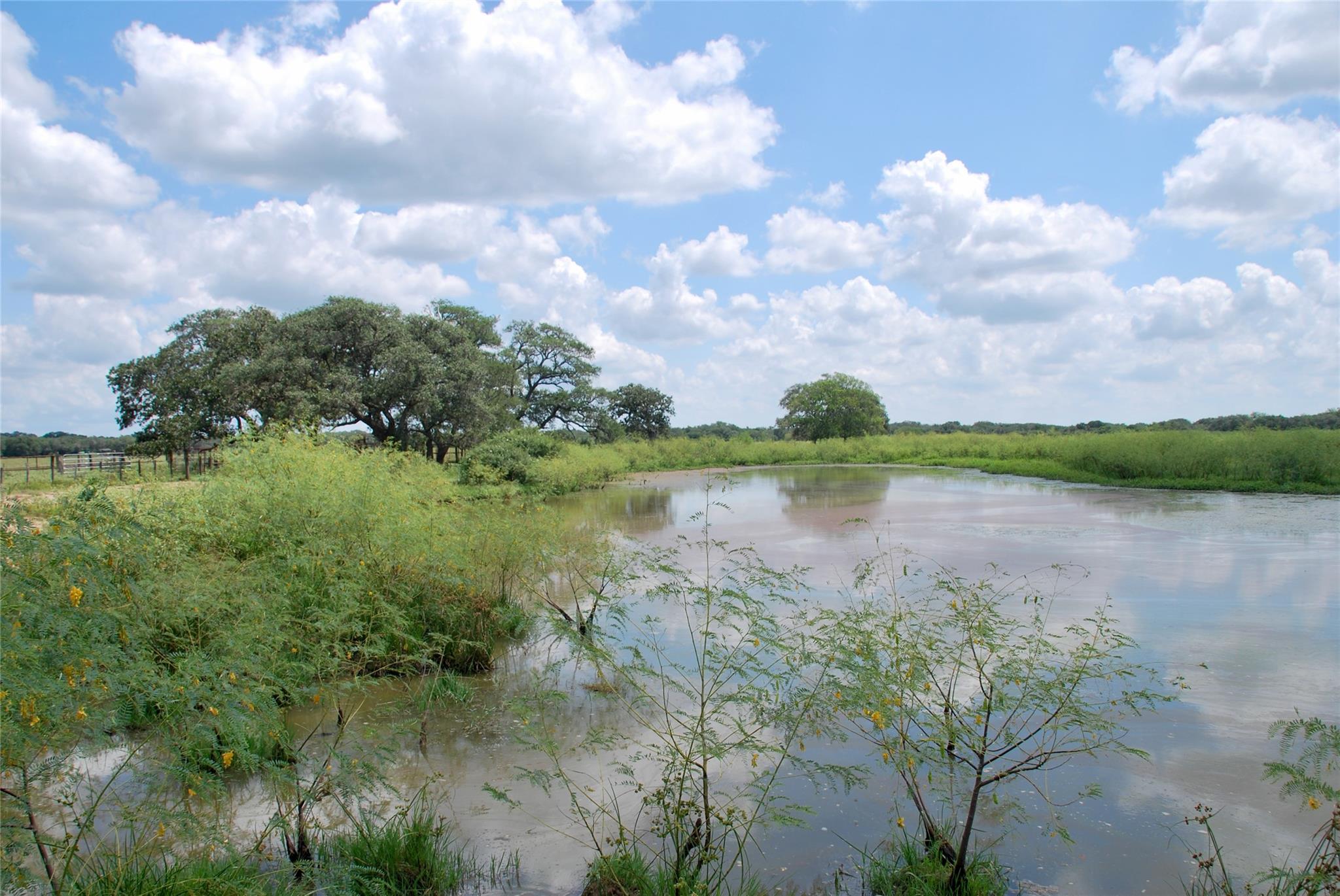 Hallettsville, TX 77964