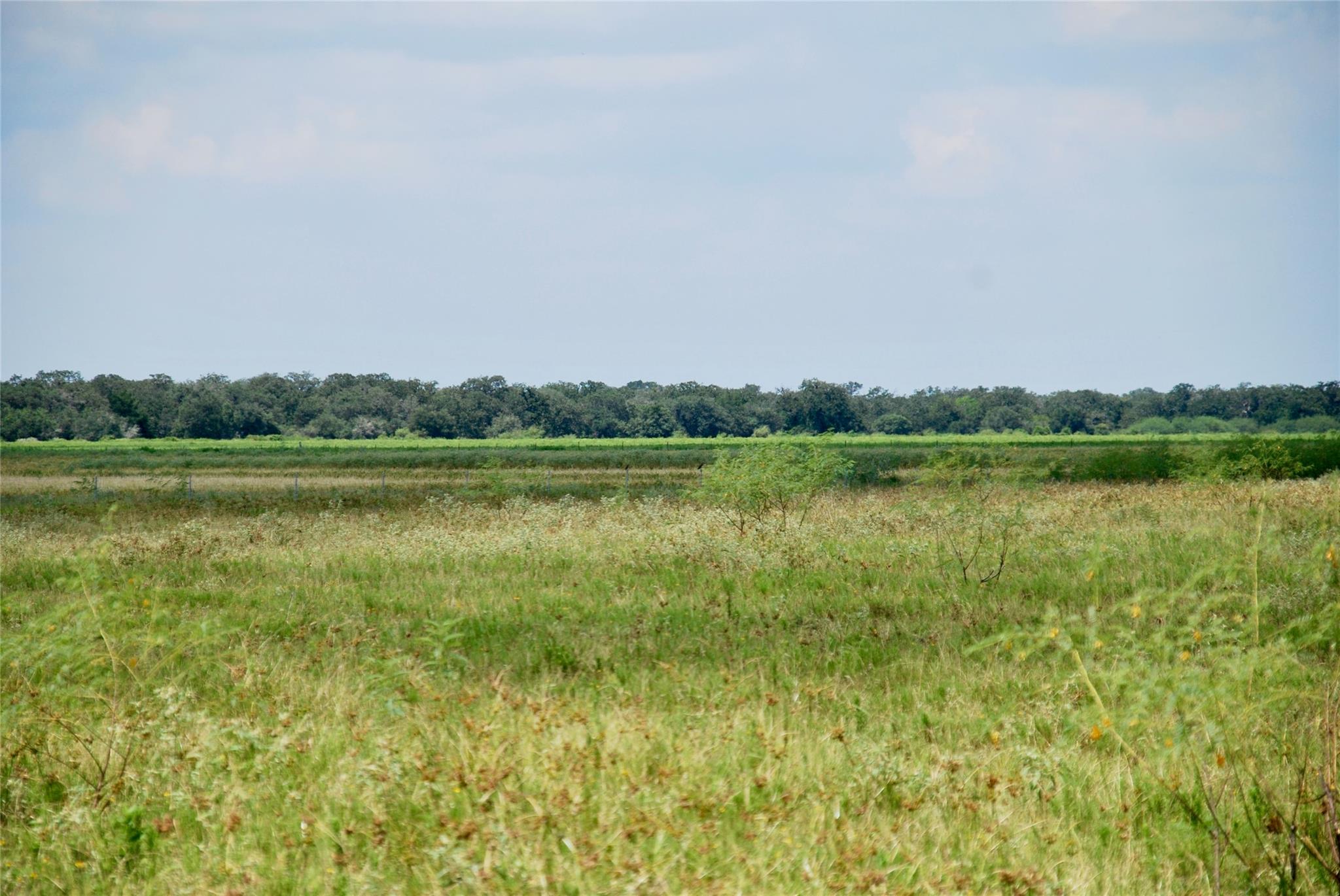 Hallettsville, TX 77964