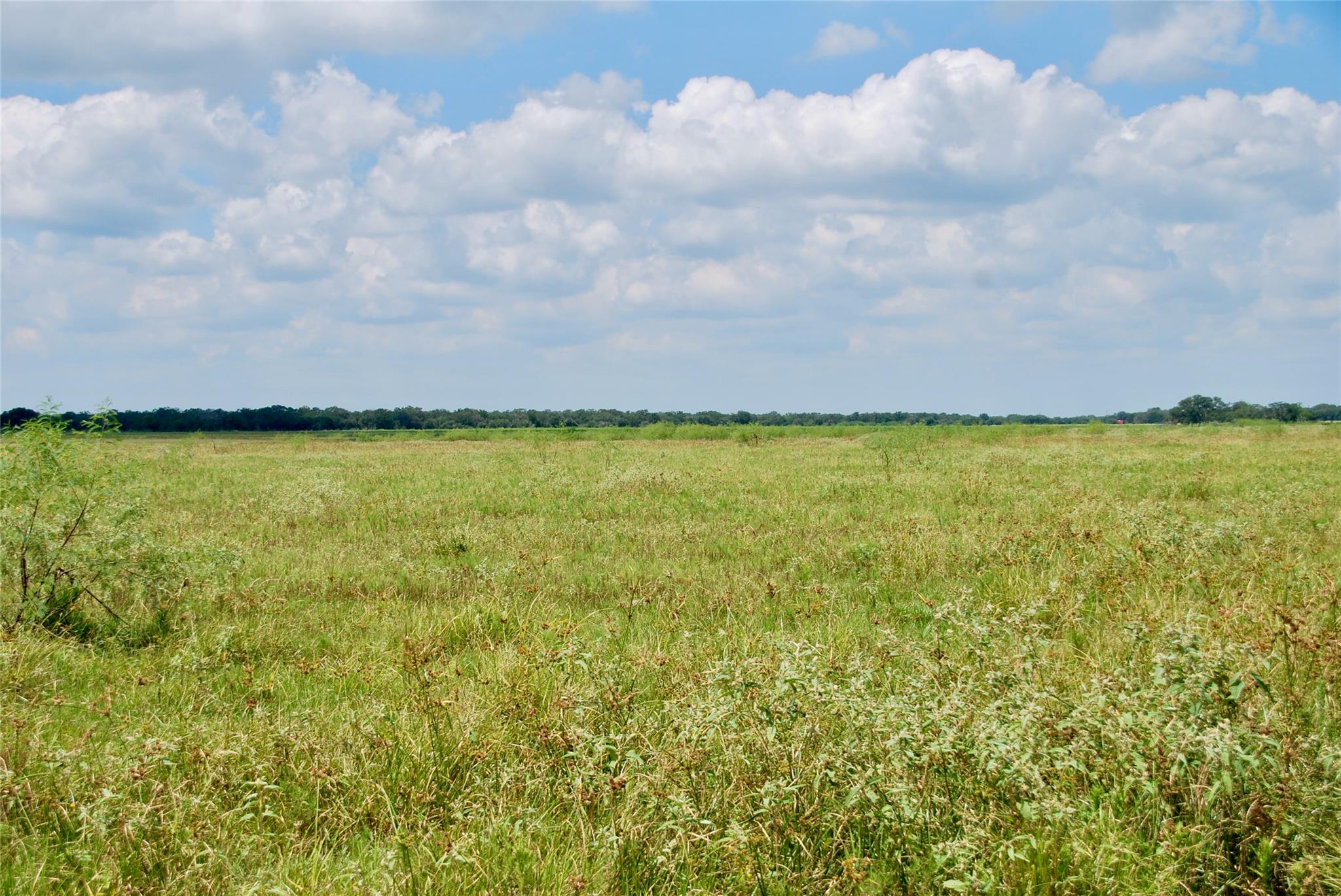 Hallettsville, TX 77964