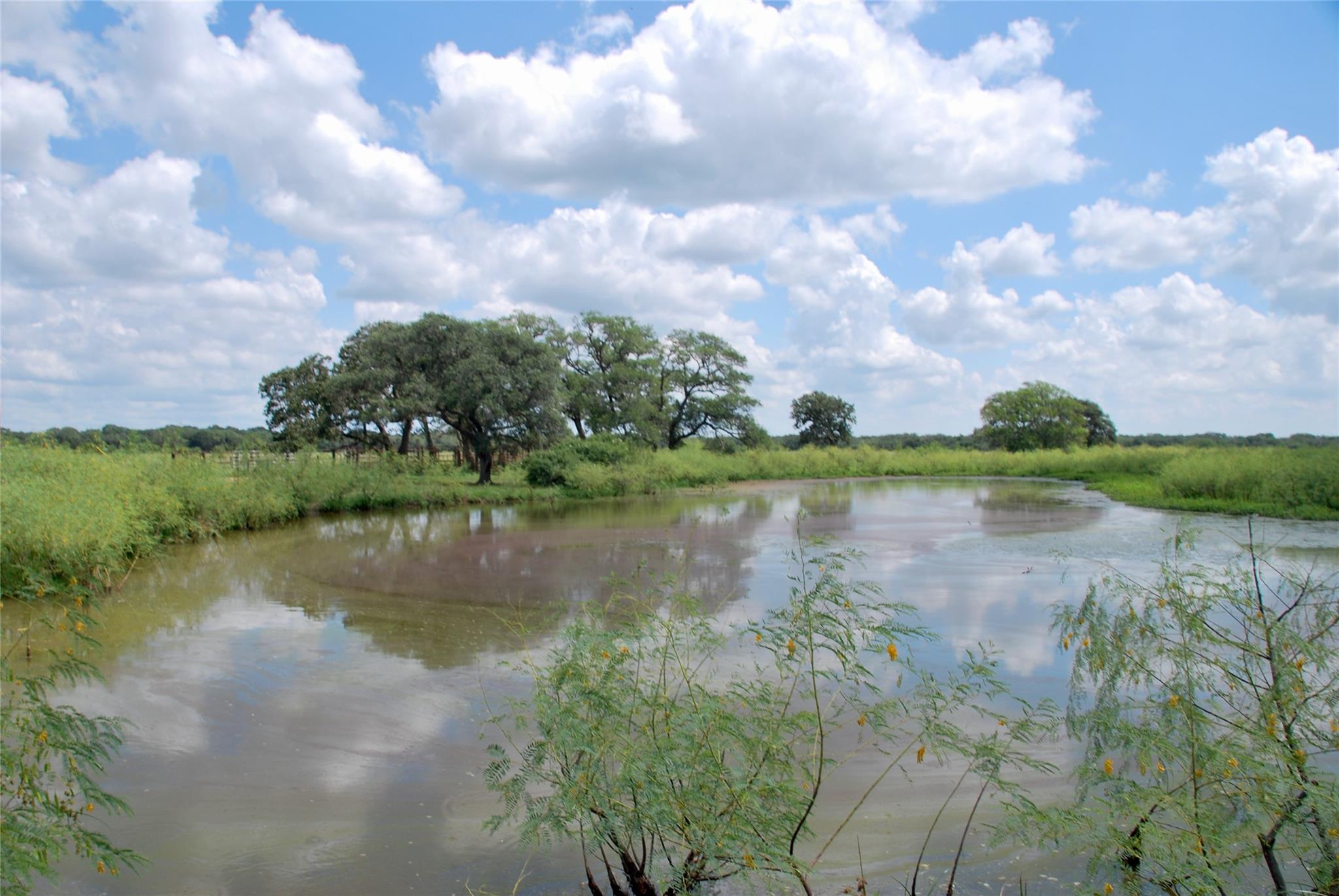 Hallettsville, TX 77964