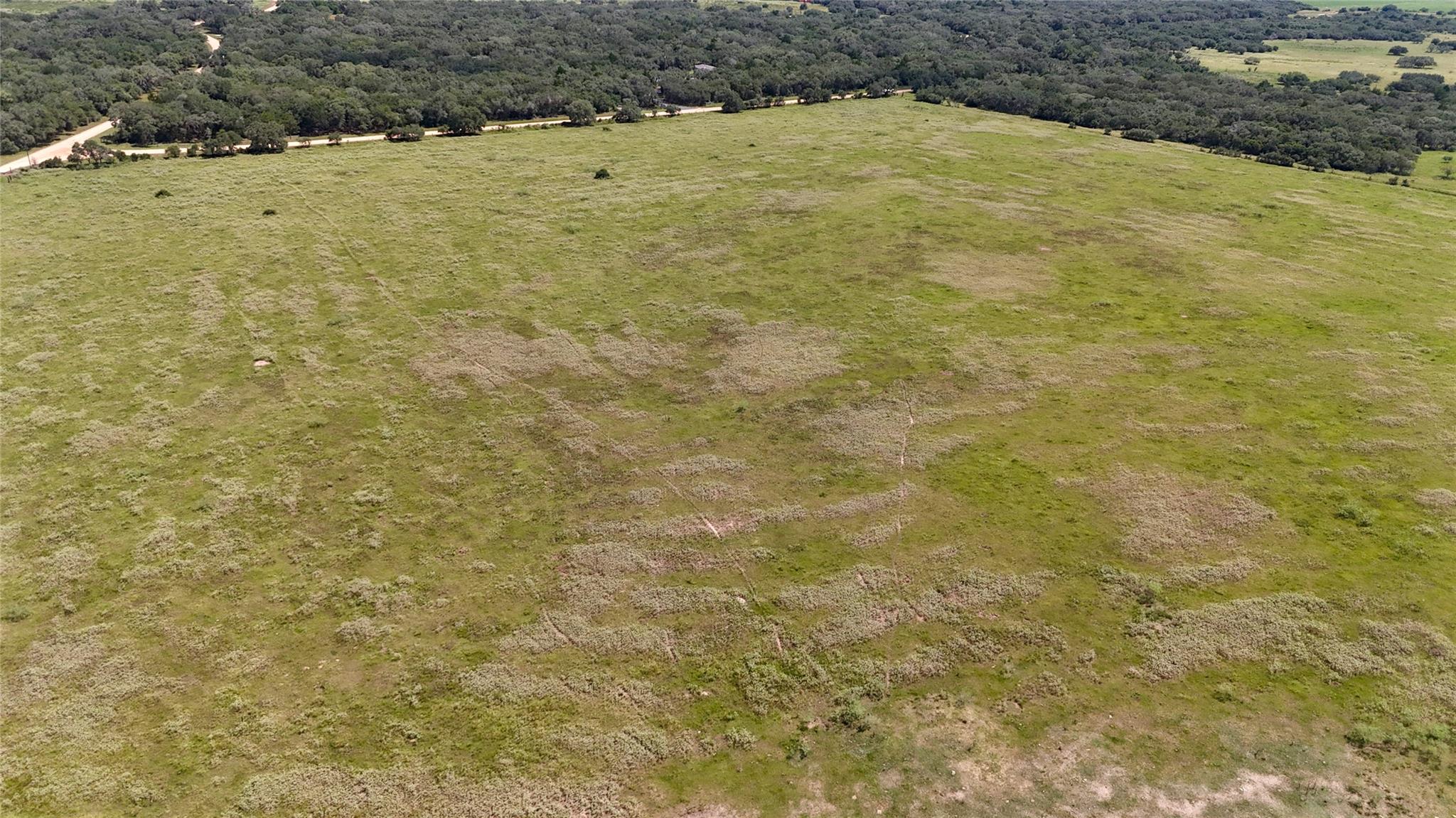 Hallettsville, TX 77964