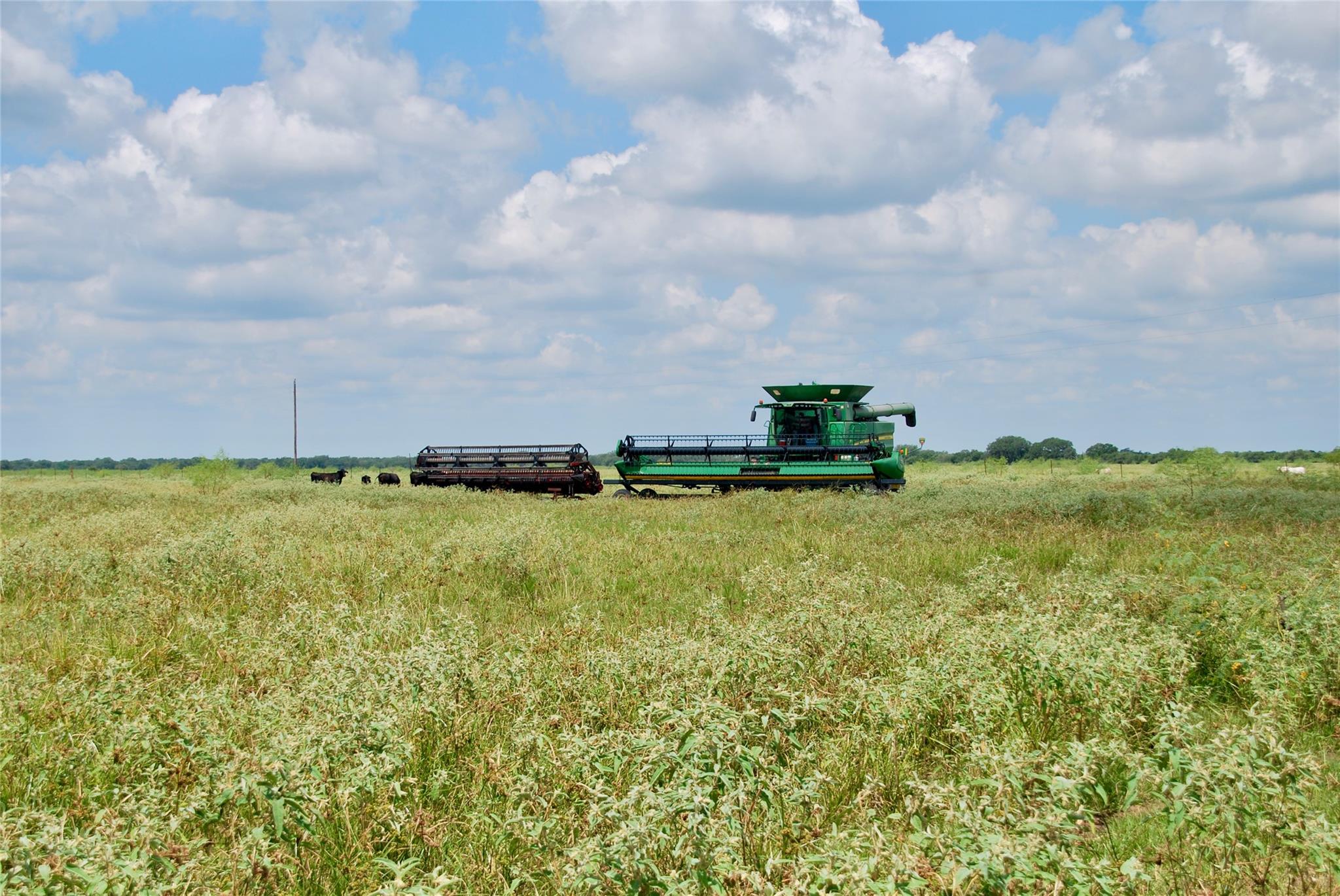 Hallettsville, TX 77964