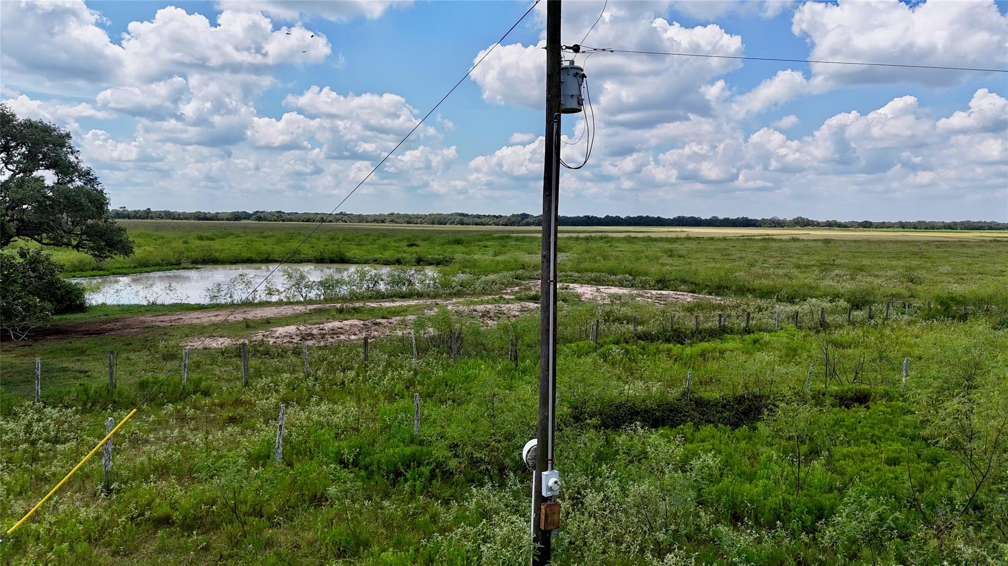 Hallettsville, TX 77964