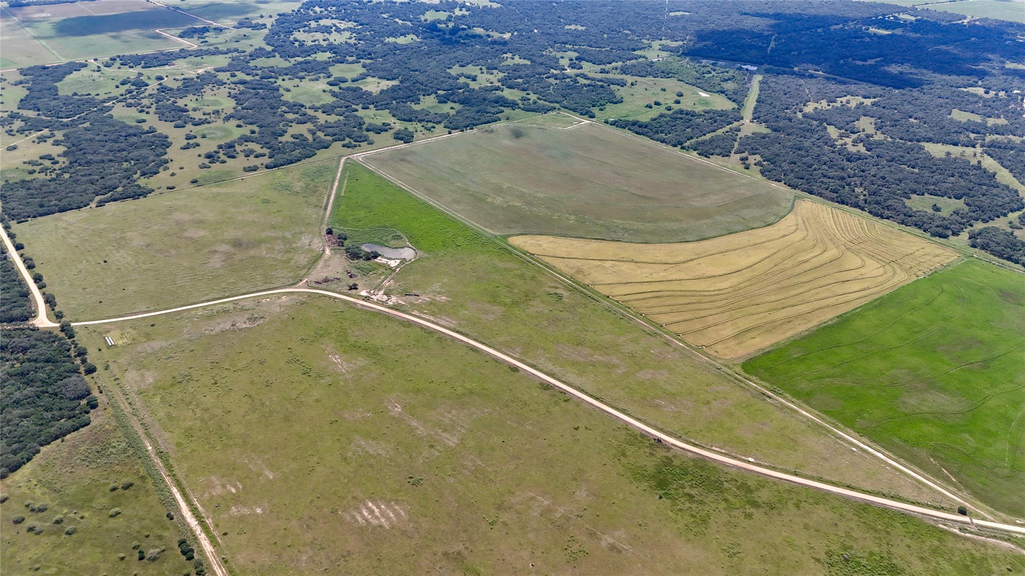 Hallettsville, TX 77964