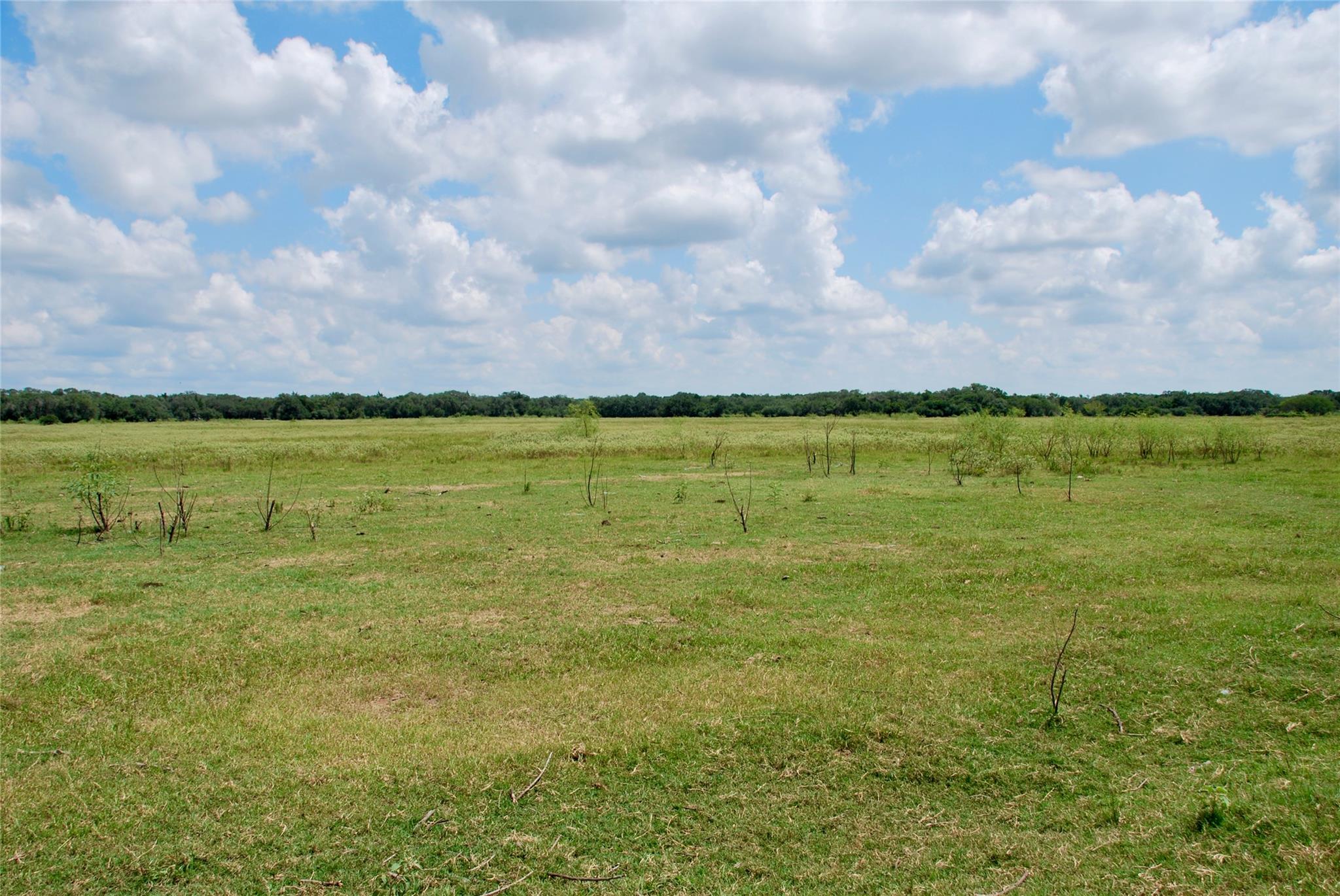 Hallettsville, TX 77964