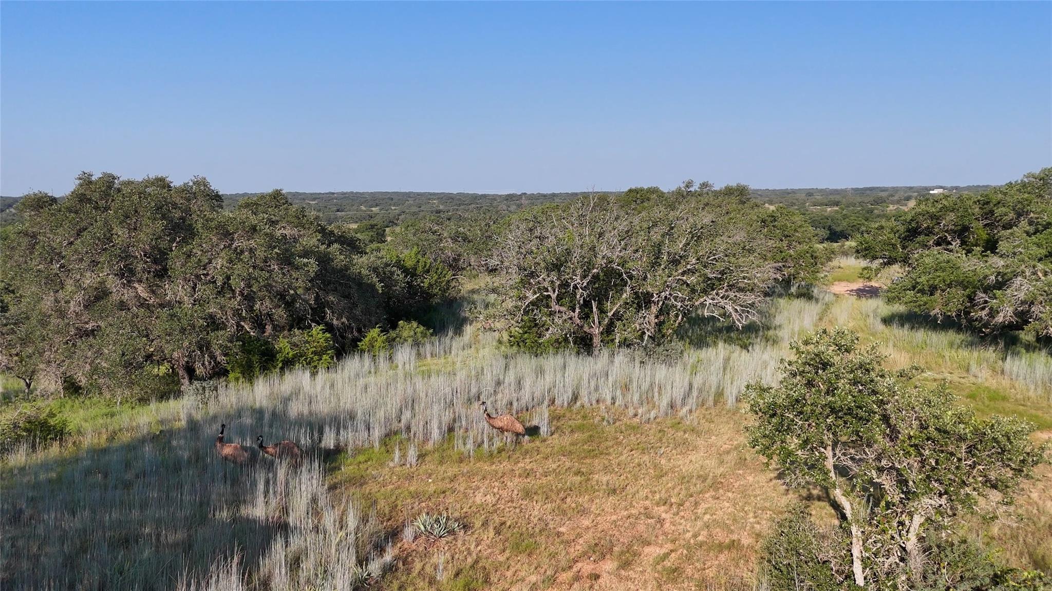 680 County Road 549, Mullin, TX 76864