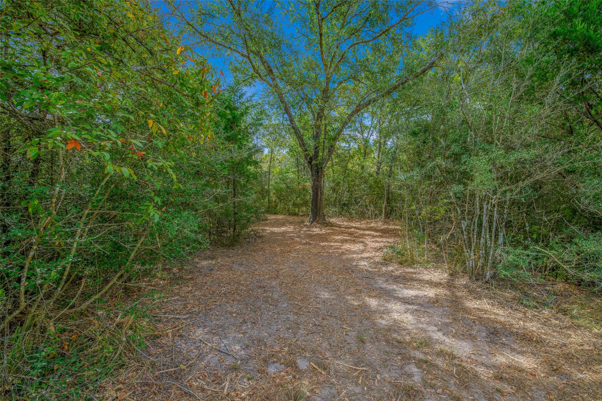 5891 Koppe Bridge Rd, College Station, TX 77845