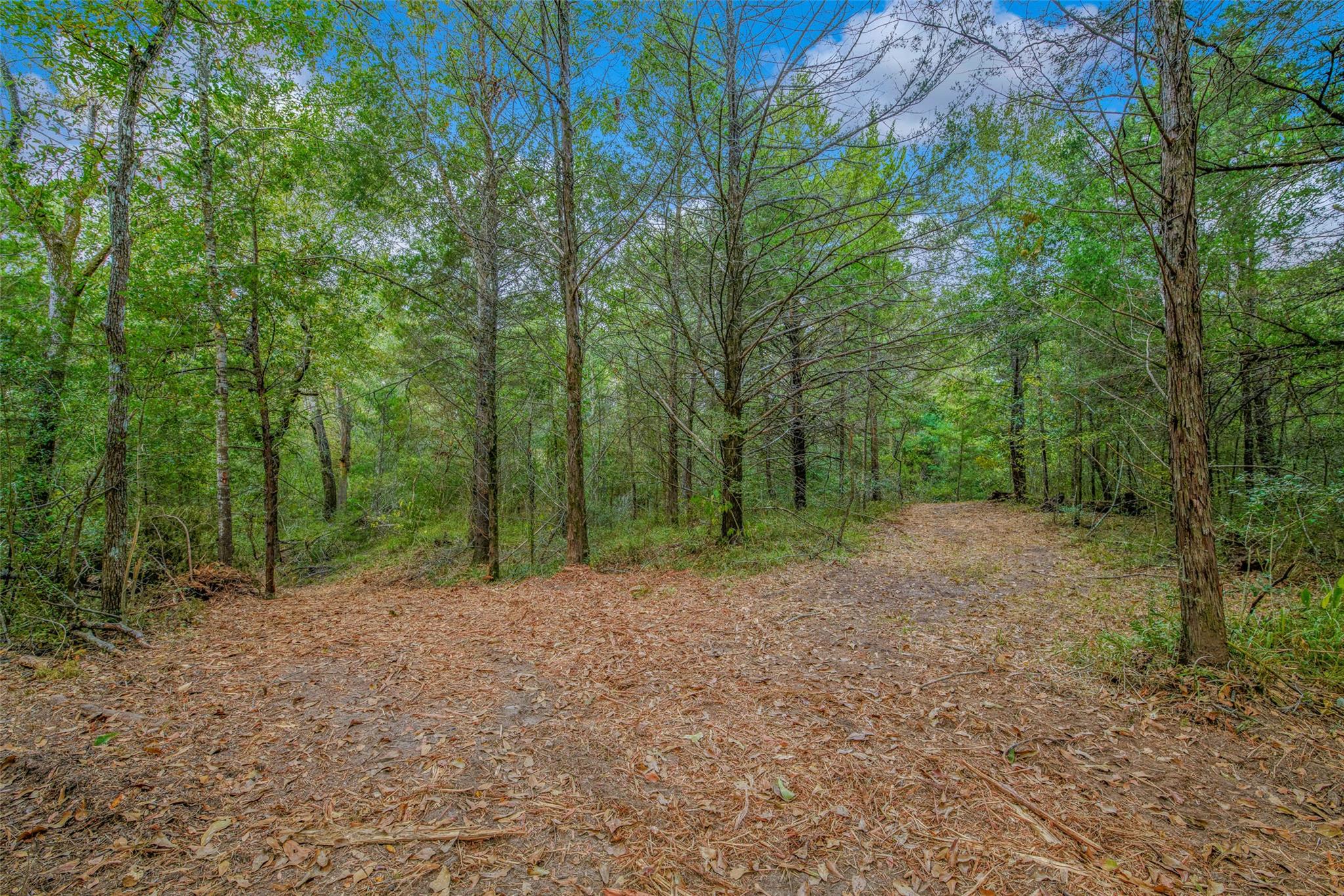 5891 Koppe Bridge Rd, College Station, TX 77845