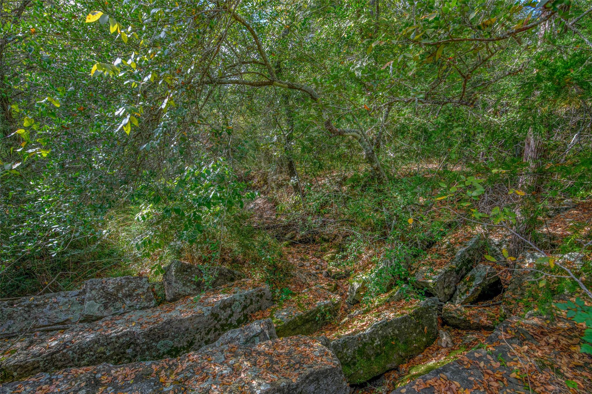 5891 Koppe Bridge Rd, College Station, TX 77845