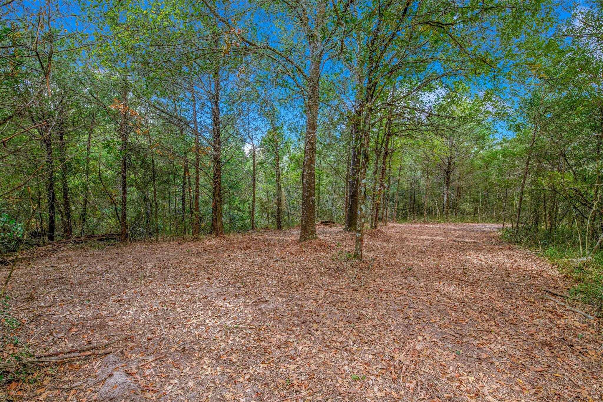 5891 Koppe Bridge Rd, College Station, TX 77845