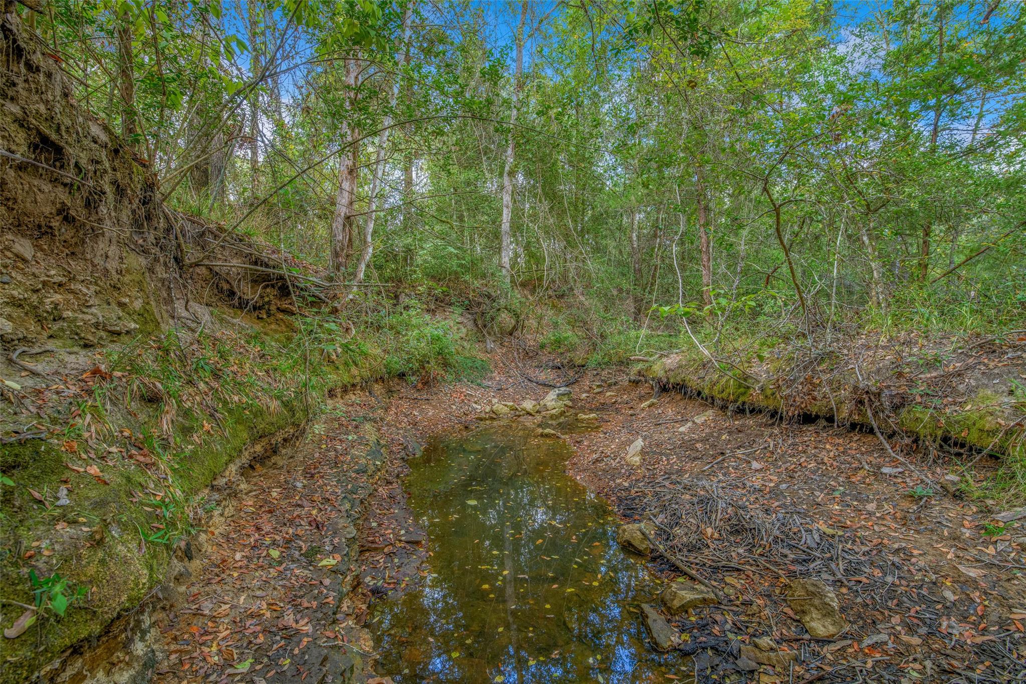 5891 Koppe Bridge Rd, College Station, TX 77845