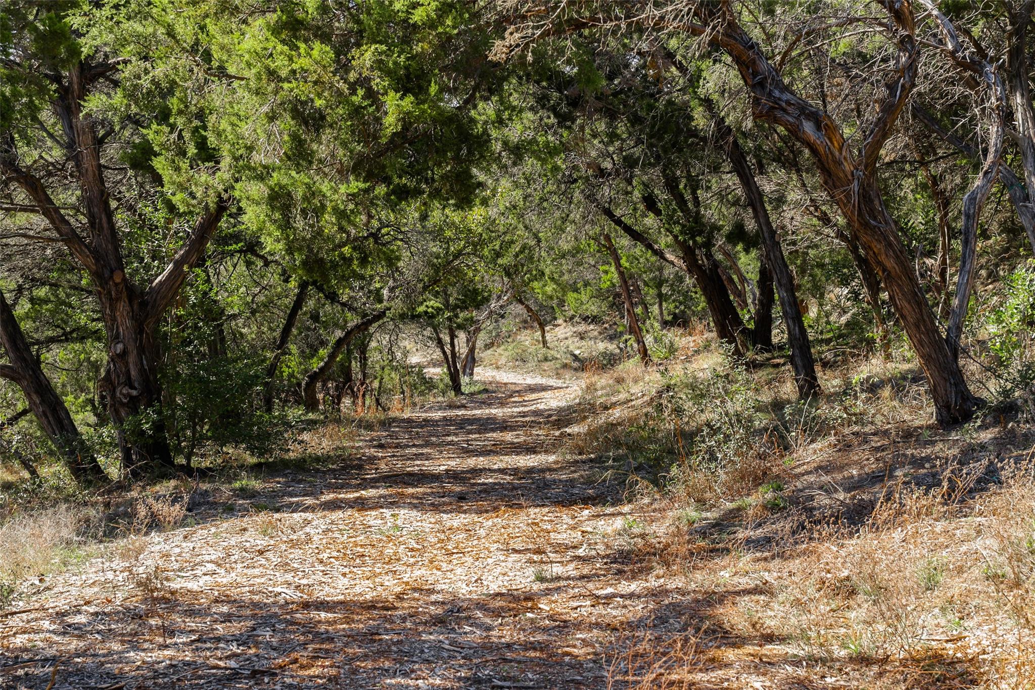 201 Buckeye Trl, West Lake Hills, TX 78746